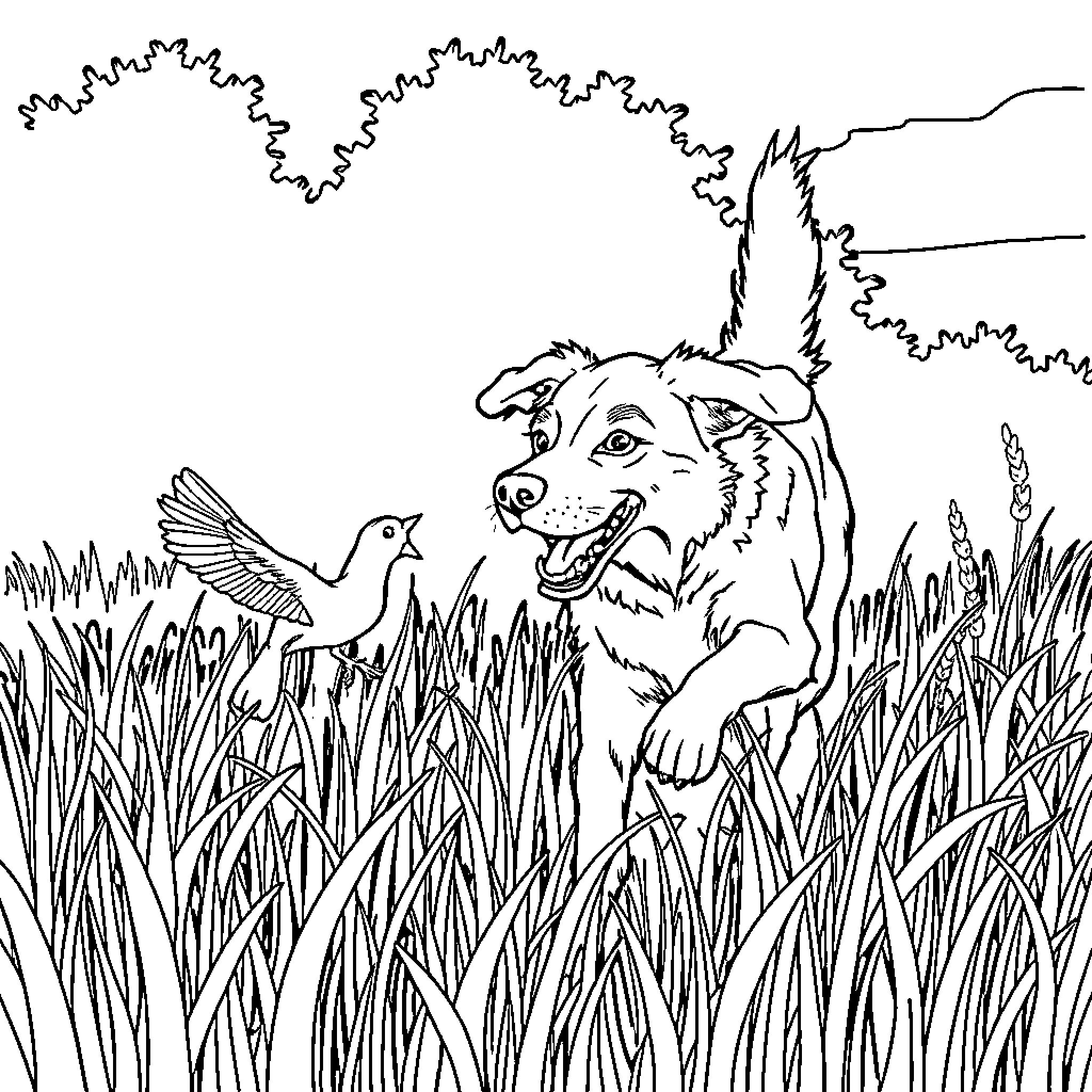 Dog playing joyfully with bird in tall grass Coloring Page (free black-and-white line drawing printable PDF for all, from beginners to advanced learners, including children, teens, adults, and seniors)