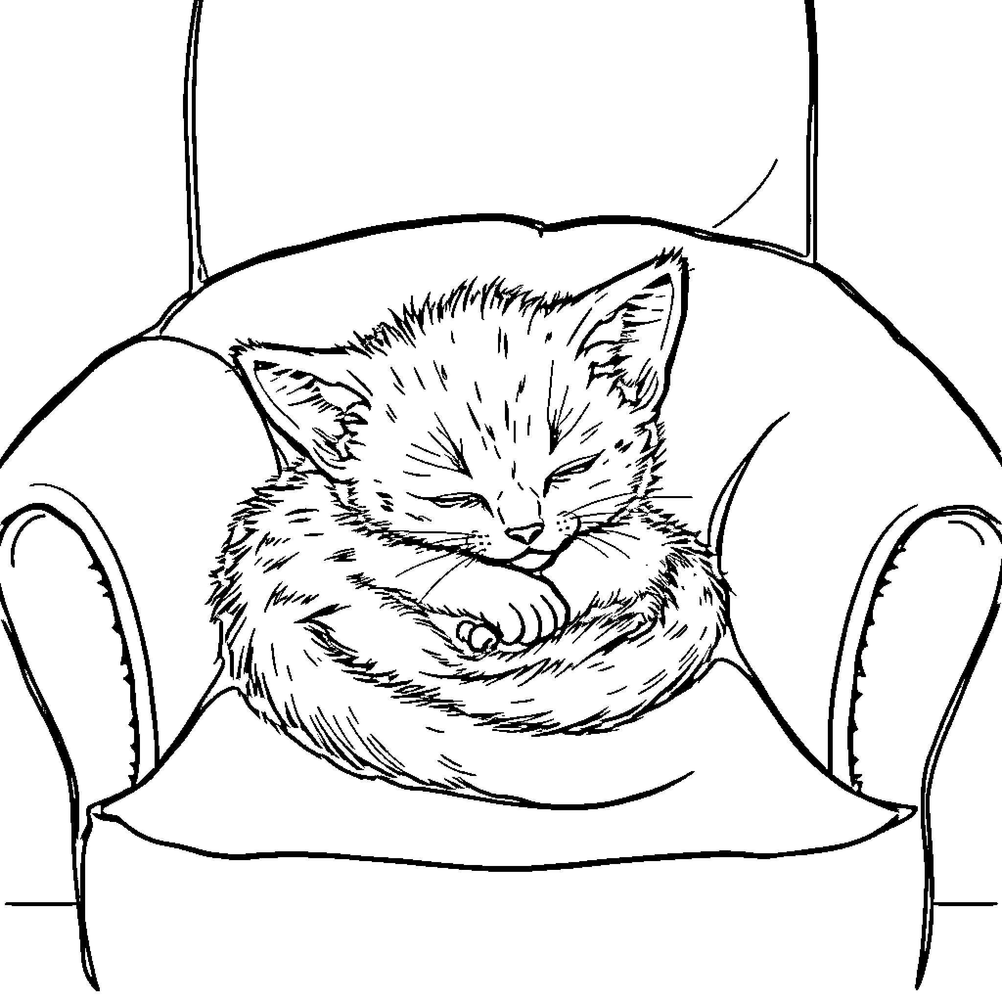 Kitten cuddling comfortably on chair Coloring Page (free black-and-white line drawing printable PDF for all, from beginners to advanced learners, including children, teens, adults, and seniors)