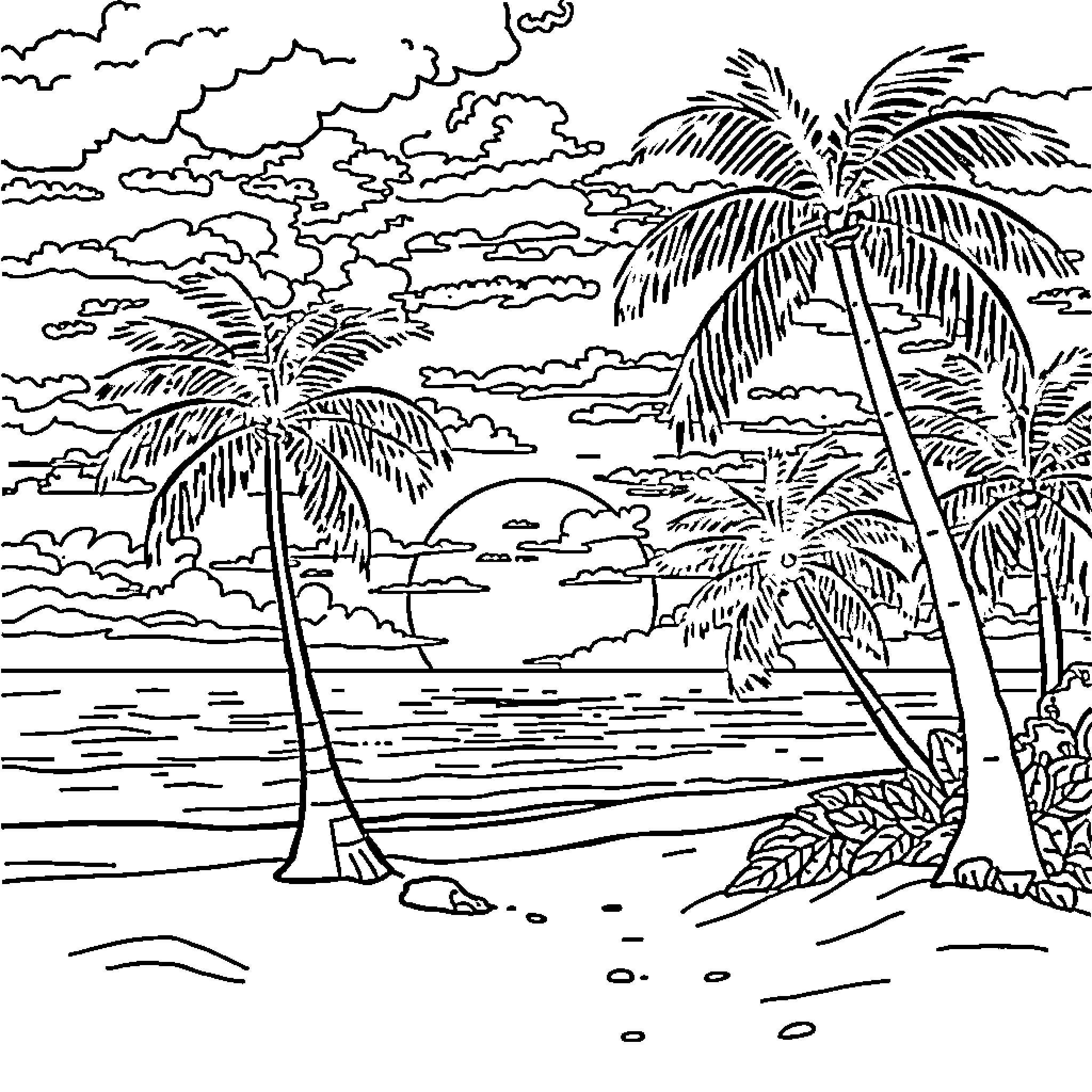 Sunset scene with palm trees and cloudy sky Coloring Page (free black-and-white line drawing printable PDF for all, from beginners to advanced learners, including children, teens, adults, and seniors)