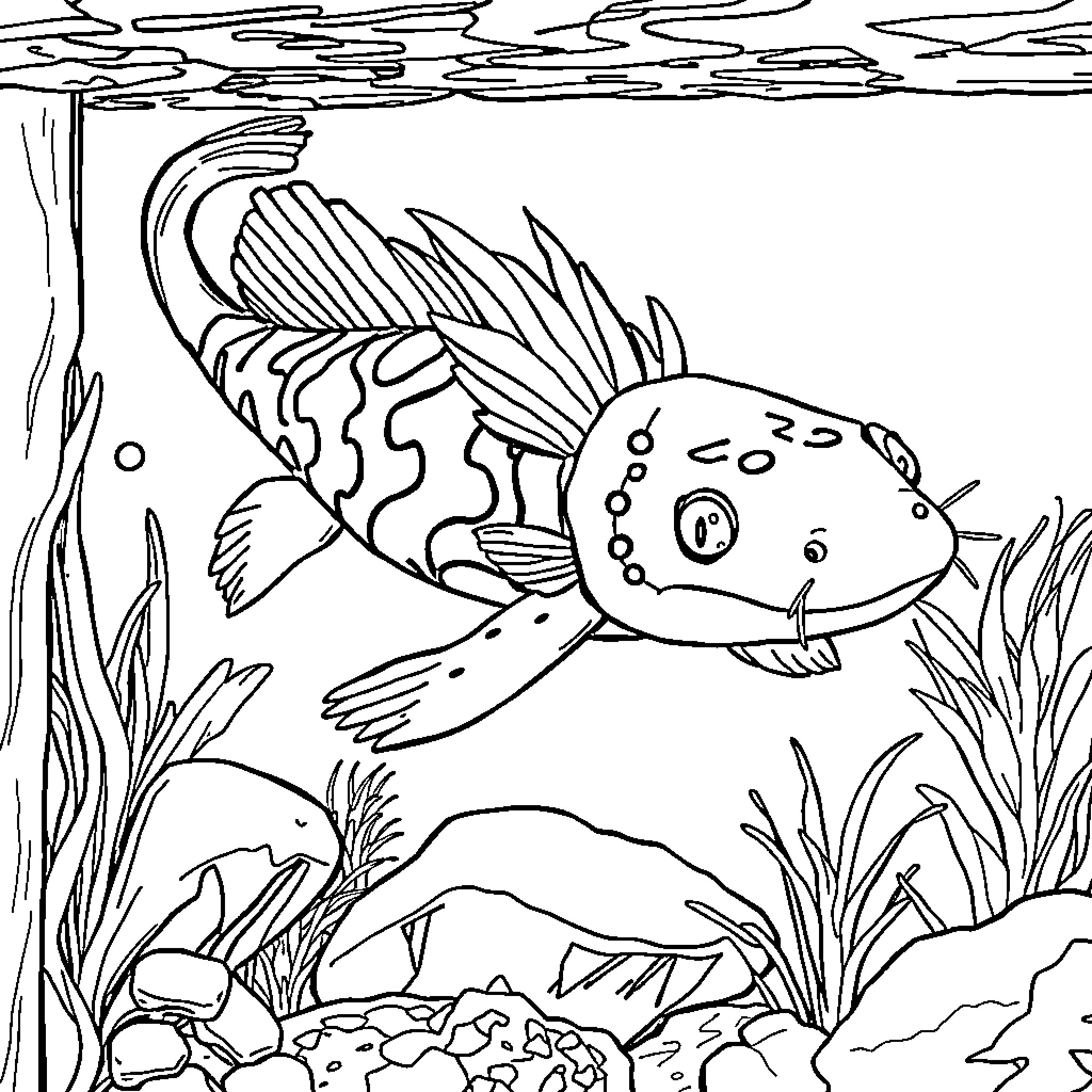 Axolotl exploring the underwater world Coloring Page (free black-and-white line drawing printable PDF for all, from beginners to advanced learners, including children, teens, adults, and seniors)