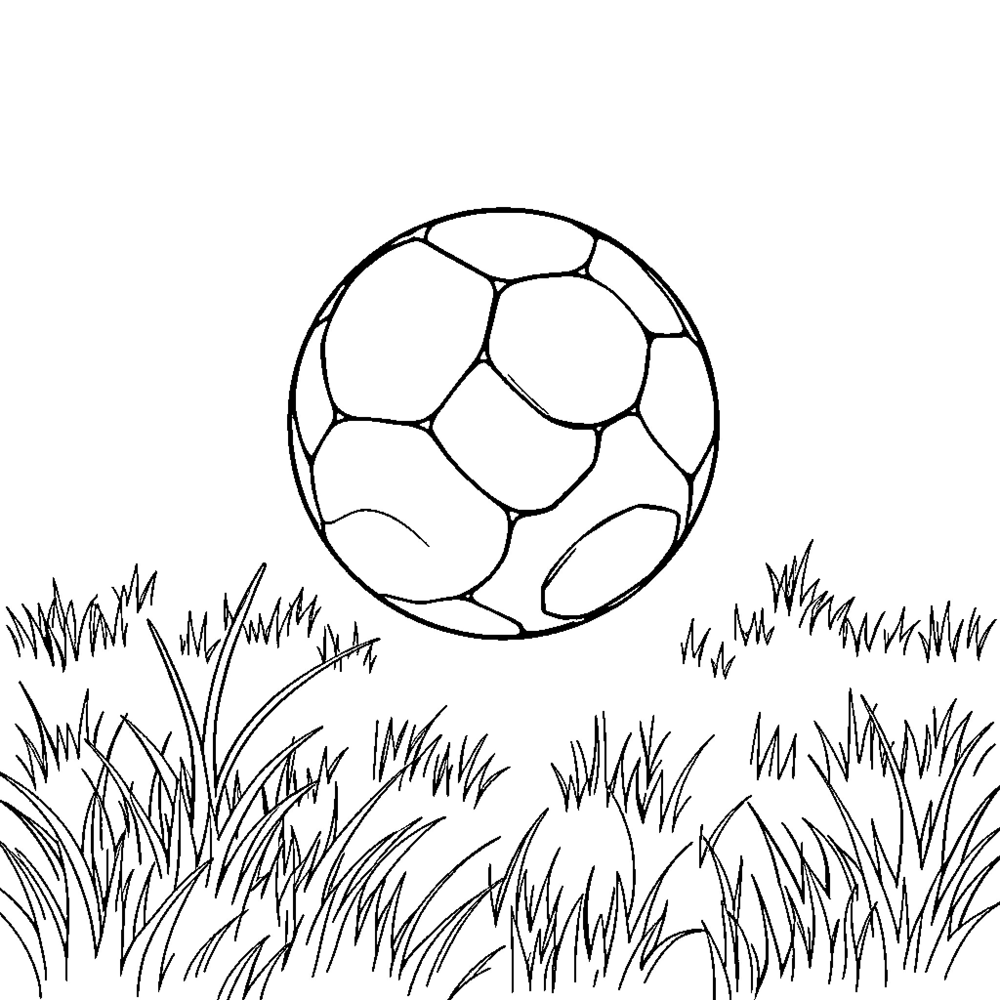 Ball rolling in the grass Coloring Page (free black-and-white line drawing printable PDF for all, from beginners to advanced learners, including children, teens, adults, and seniors)