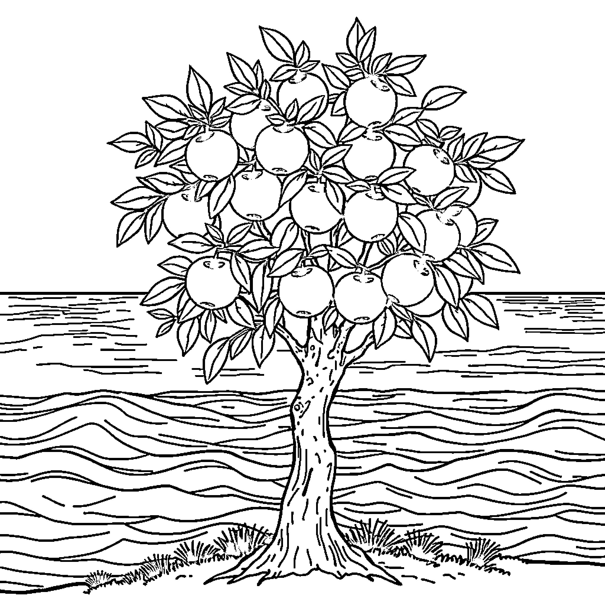 Apple Tree Laden with Fruit on a Wavy Landscape Coloring Page (free black-and-white line drawing printable PDF for all, from beginners to advanced learners, including children, teens, adults, and seniors)