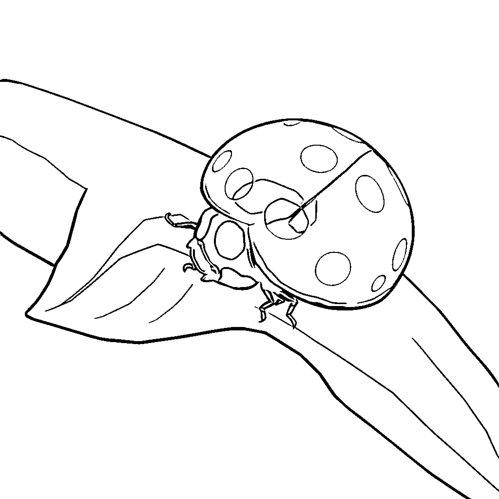 Ladybug flying through a dreamlike landscape Coloring Page (free black-and-white line drawing printable PDF for all, from beginners to advanced learners, including children, teens, adults, and seniors)