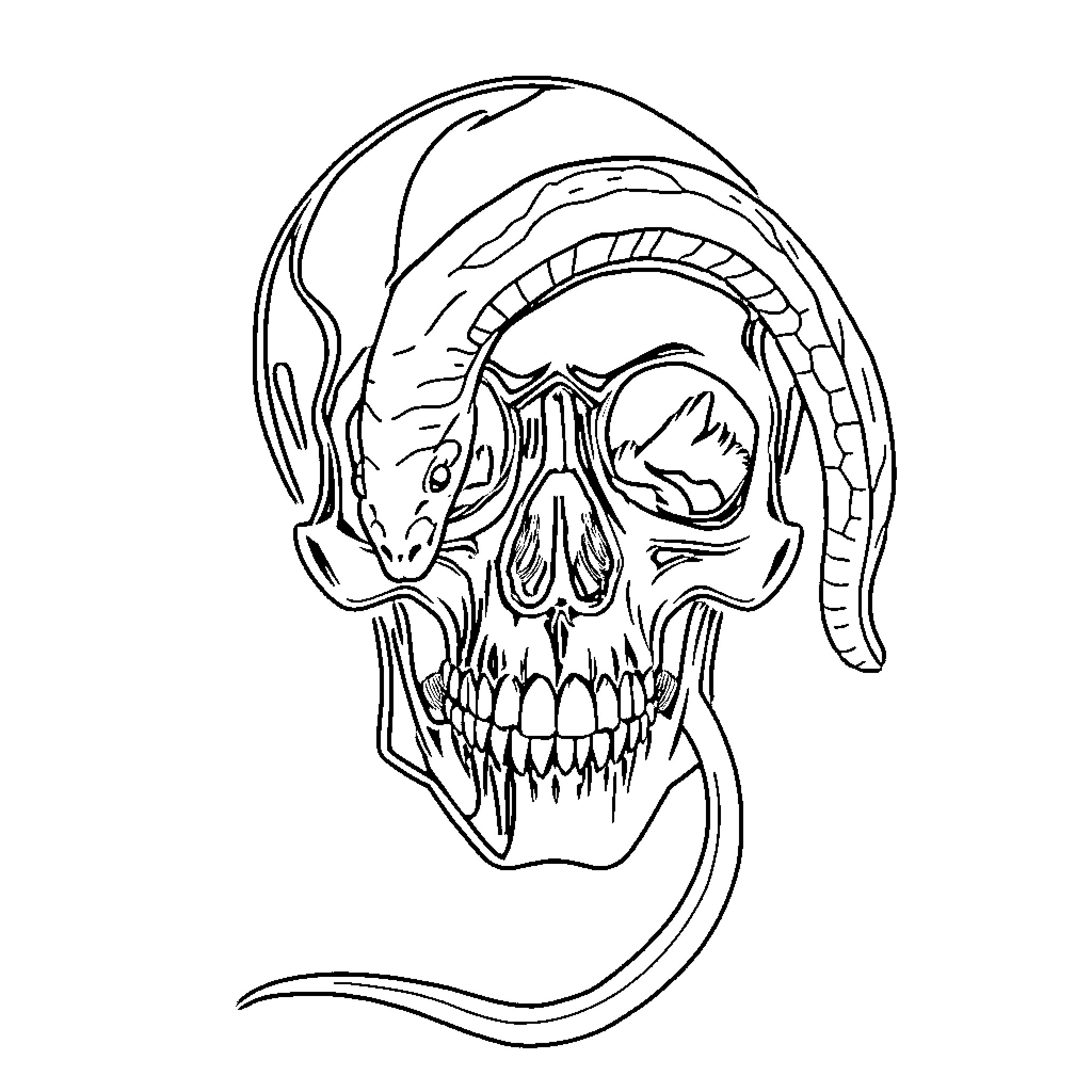 Skull with demonic horns and fangs Coloring Page (free black-and-white line drawing printable PDF for all, from beginners to advanced learners, including children, teens, adults, and seniors)