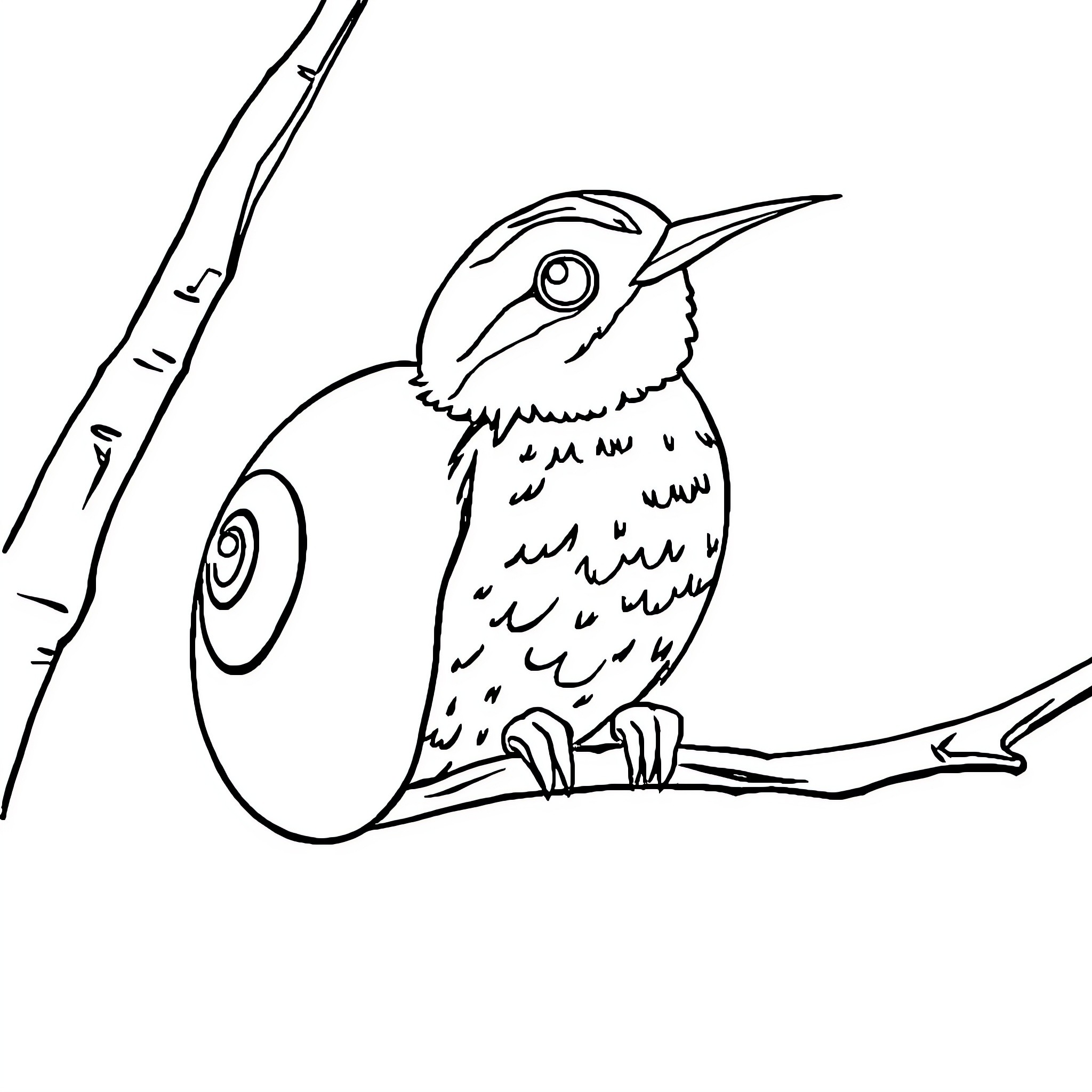 Cardinal perched on tree branch Coloring Page (free black-and-white line drawing printable PDF for all, from beginners to advanced learners, including children, teens, adults, and seniors)