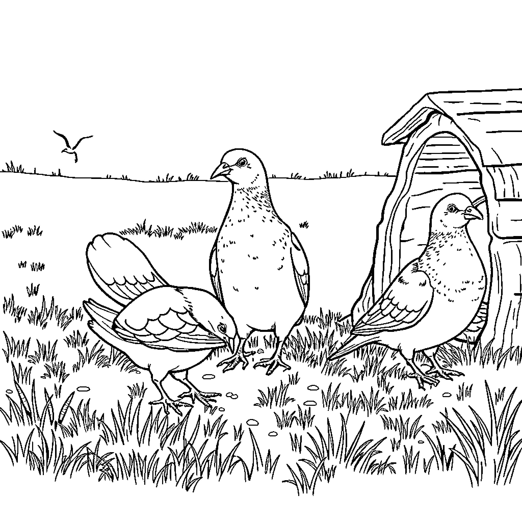 Hen and chicks resting in the farmyard Coloring Page (free black-and-white line drawing printable PDF for all, from beginners to advanced learners, including children, teens, adults, and seniors)