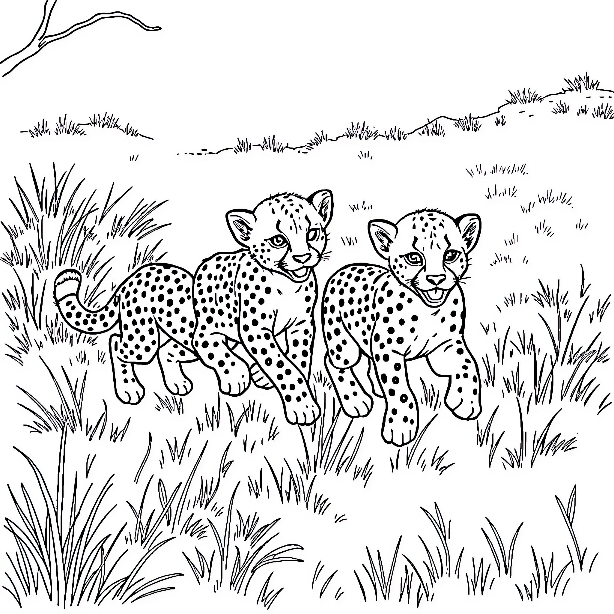 Cheetah cubs playing in the wild Coloring Page (free black-and-white line drawing printable PDF for all, from beginners to advanced learners, including children, teens, adults, and seniors)