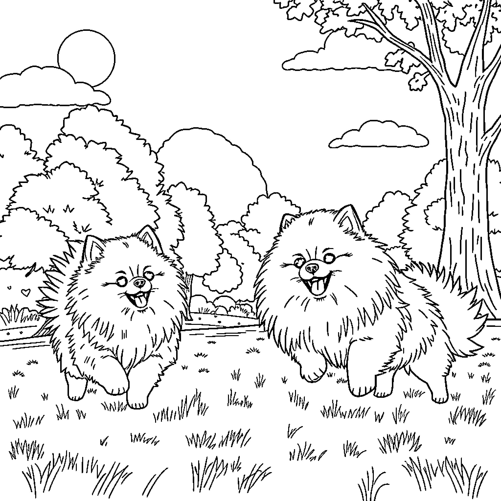 Pomeranian friends playing in the forest Coloring Page (free black-and-white line drawing printable PDF for all, from beginners to advanced learners, including children, teens, adults, and seniors)