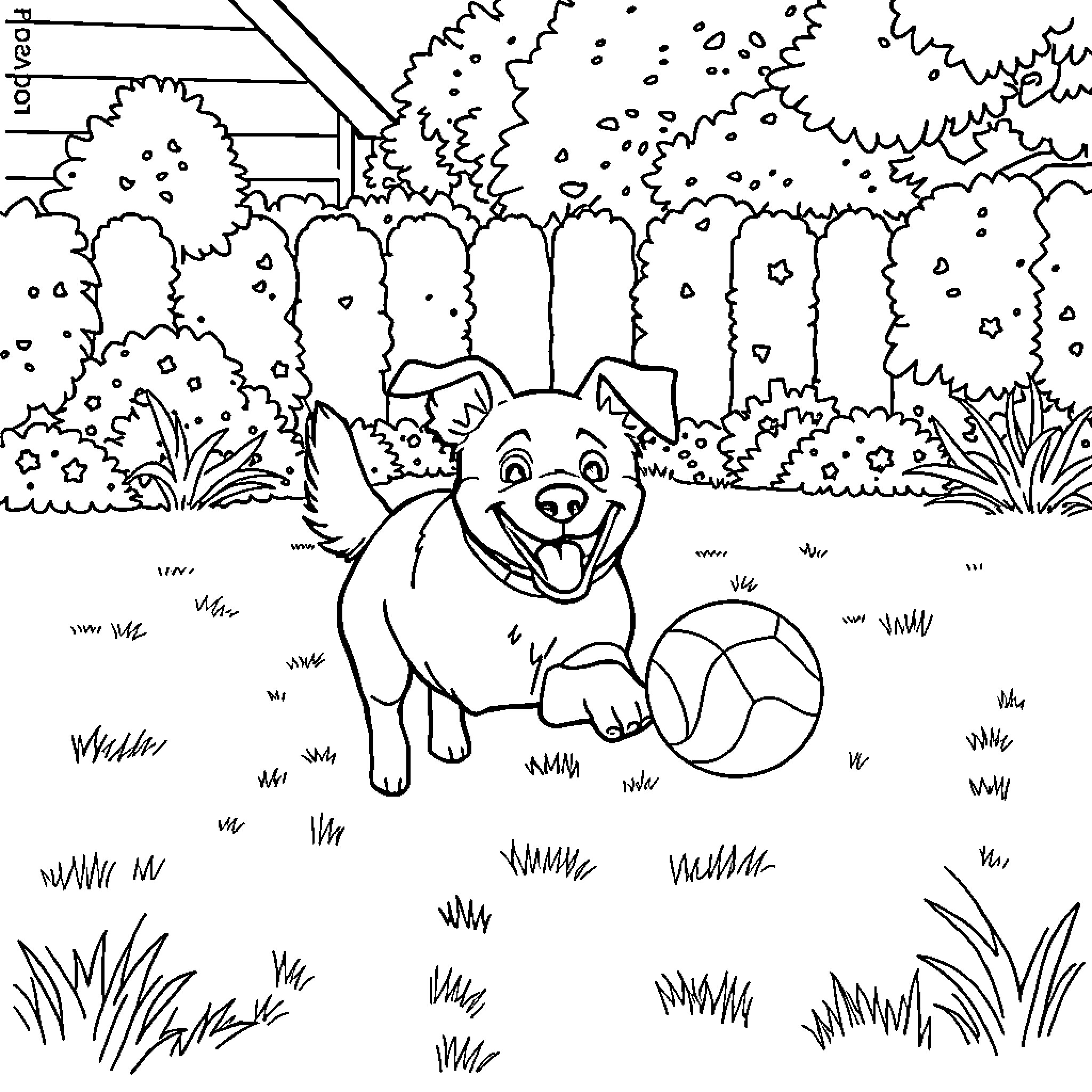 Dog playing happily with ball in the park Coloring Page (free black-and-white line drawing printable PDF for all, from beginners to advanced learners, including children, teens, adults, and seniors)