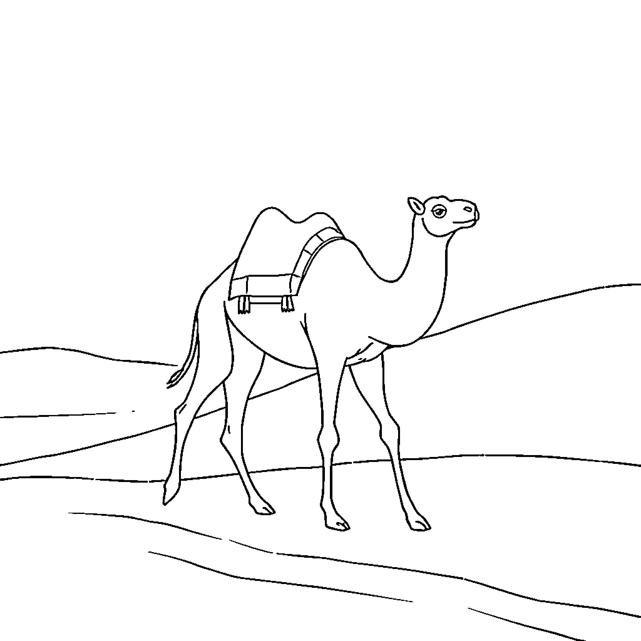 Camel walking across desert landscape Coloring Page (free black-and-white line drawing printable PDF for all, from beginners to advanced learners, including children, teens, adults, and seniors)