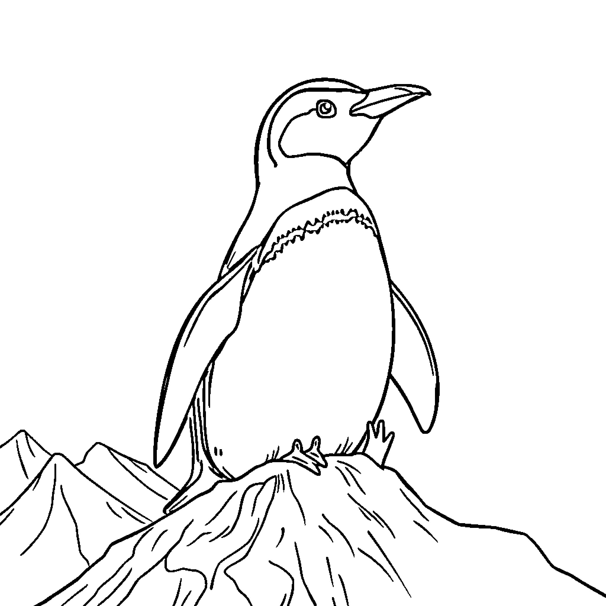 Penguin standing on a rocky mountain Coloring Page (free black-and-white line drawing printable PDF for all, from beginners to advanced learners, including children, teens, adults, and seniors)