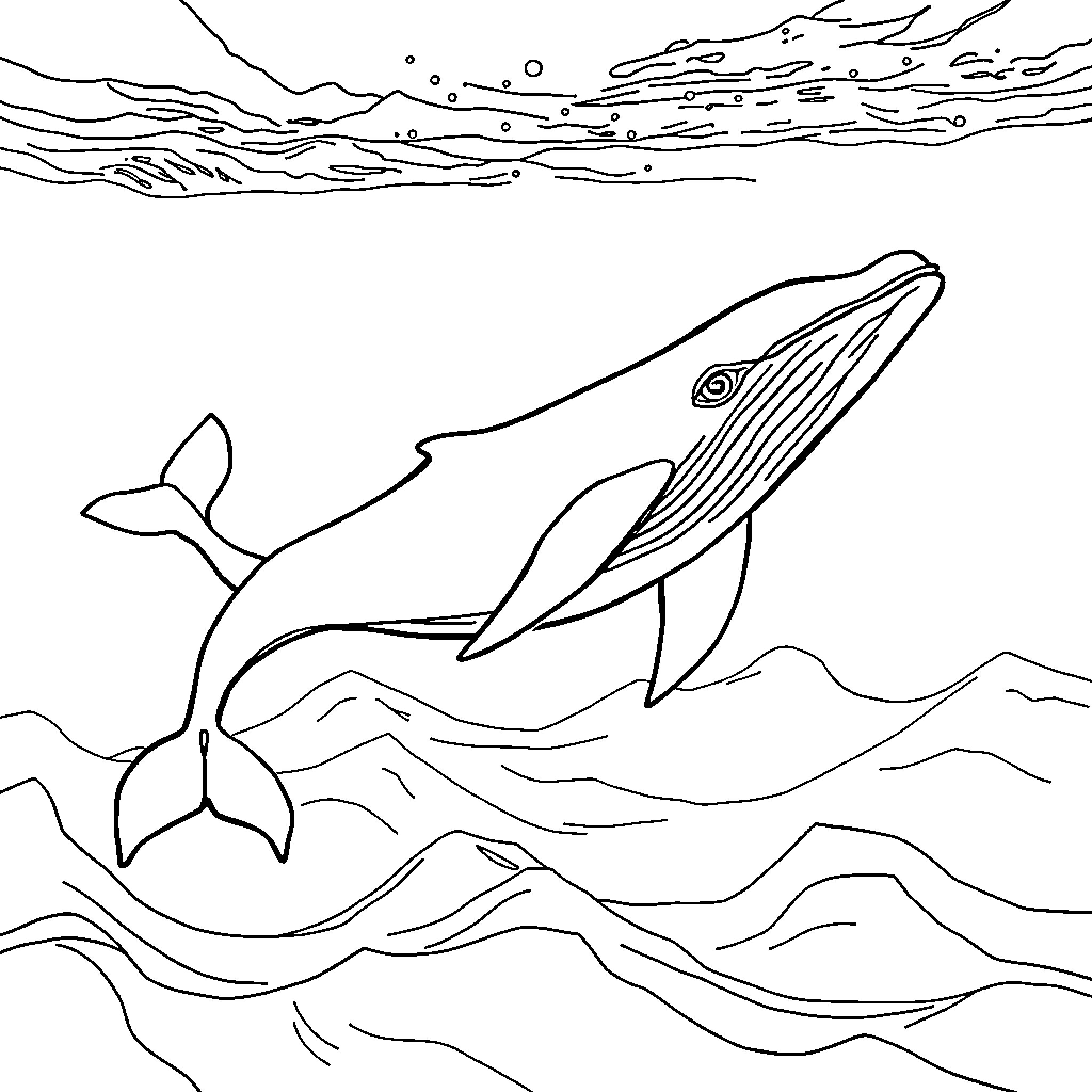 Whale swimming gracefully in the ocean Coloring Page (free black-and-white line drawing printable PDF for all, from beginners to advanced learners, including children, teens, adults, and seniors)