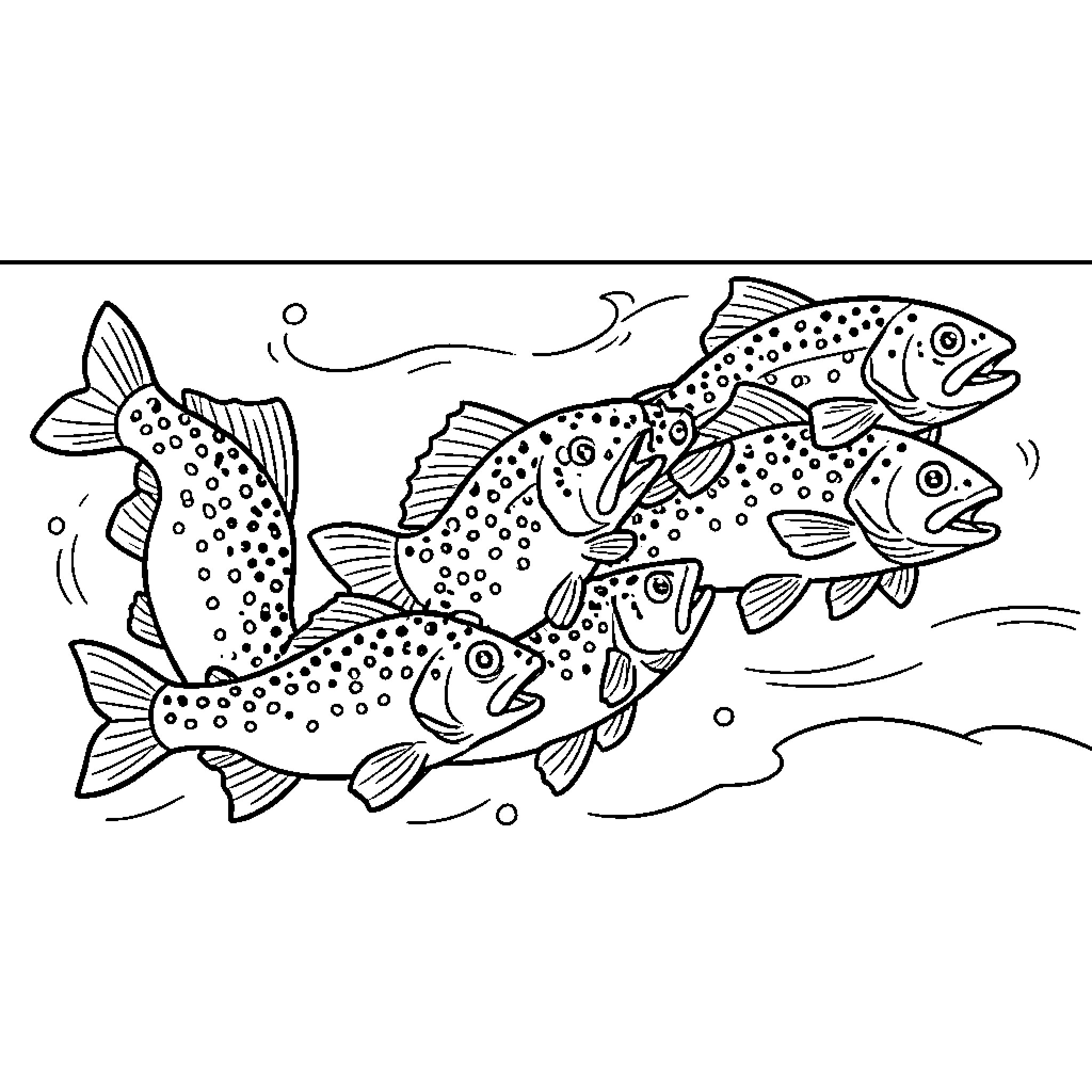 Trout swimming gracefully underwater Coloring Page (free black-and-white line drawing printable PDF for all, from beginners to advanced learners, including children, teens, adults, and seniors)