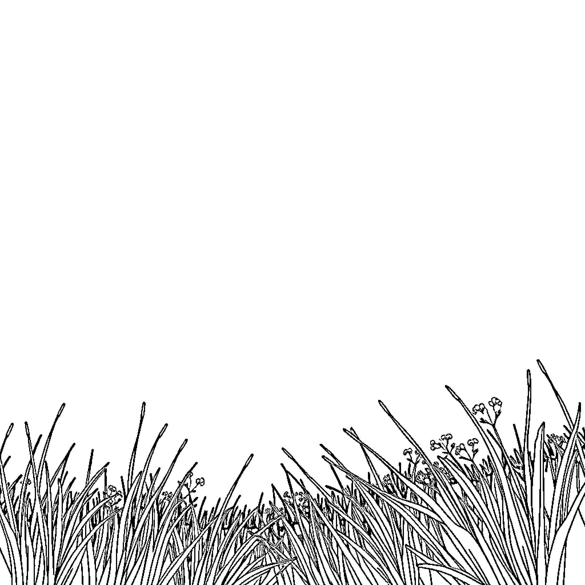 Sun shines on vibrant meadow with tall grass Coloring Page (free black-and-white line drawing printable PDF for all, from beginners to advanced learners, including children, teens, adults, and seniors)