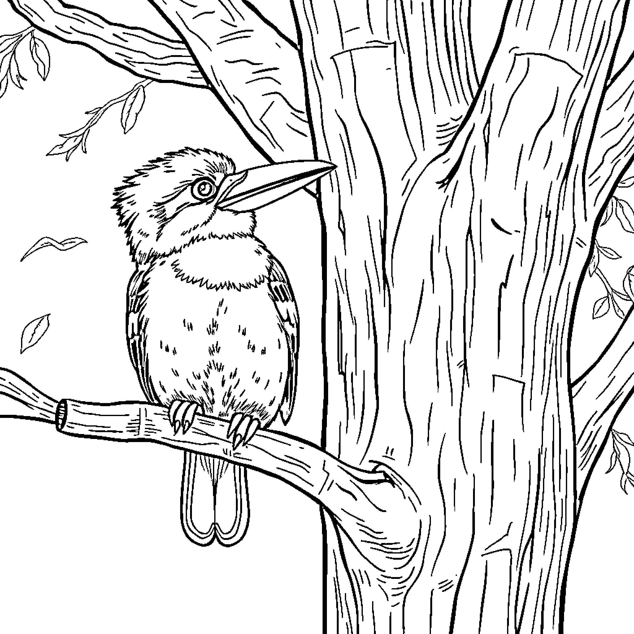 Kookaburra perching on tree branch in forest Coloring Page (free black-and-white line drawing printable PDF for all, from beginners to advanced learners, including children, teens, adults, and seniors)