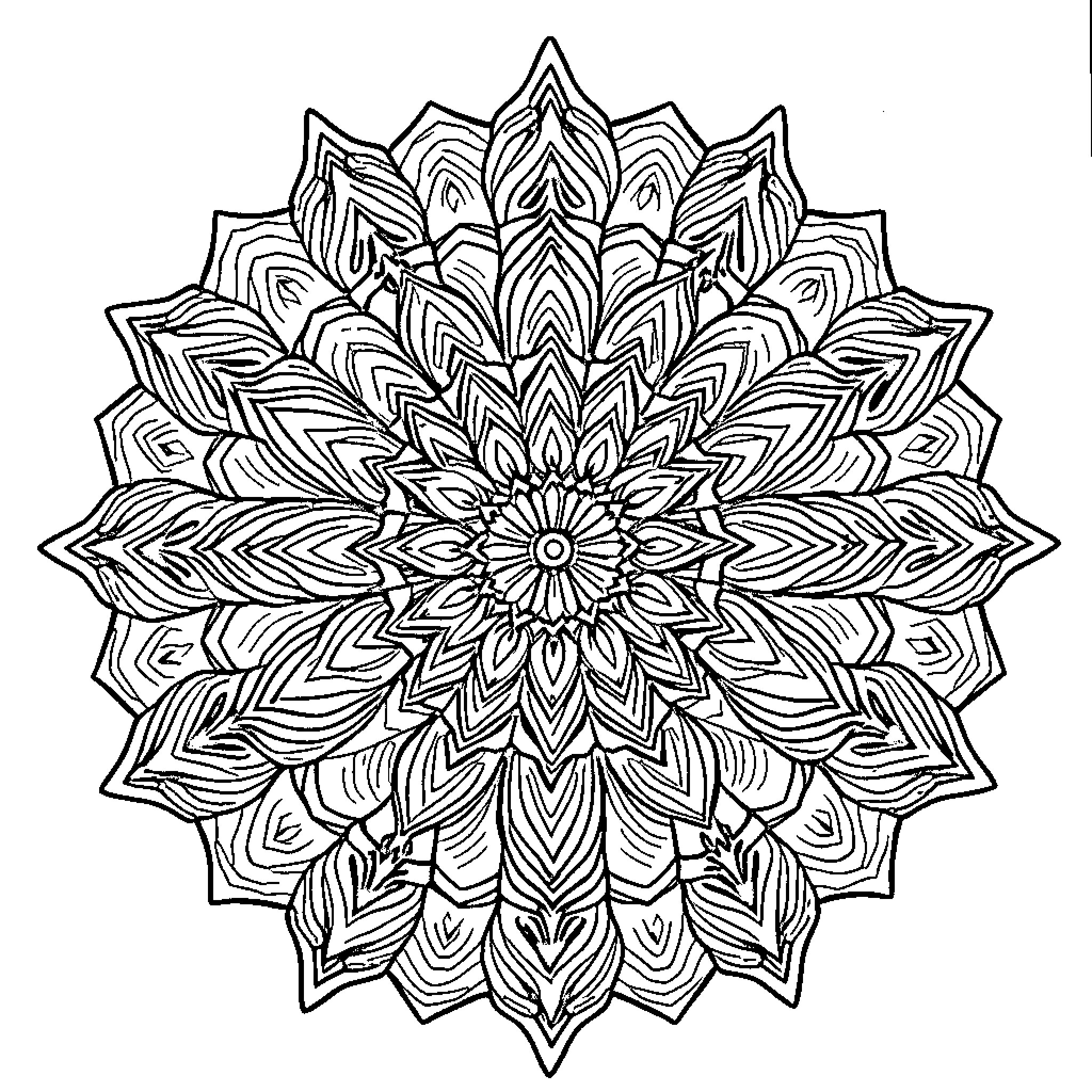 Mandalas of intricate floral designs Coloring Page (free black-and-white line drawing printable PDF for all, from beginners to advanced learners, including children, teens, adults, and seniors)
