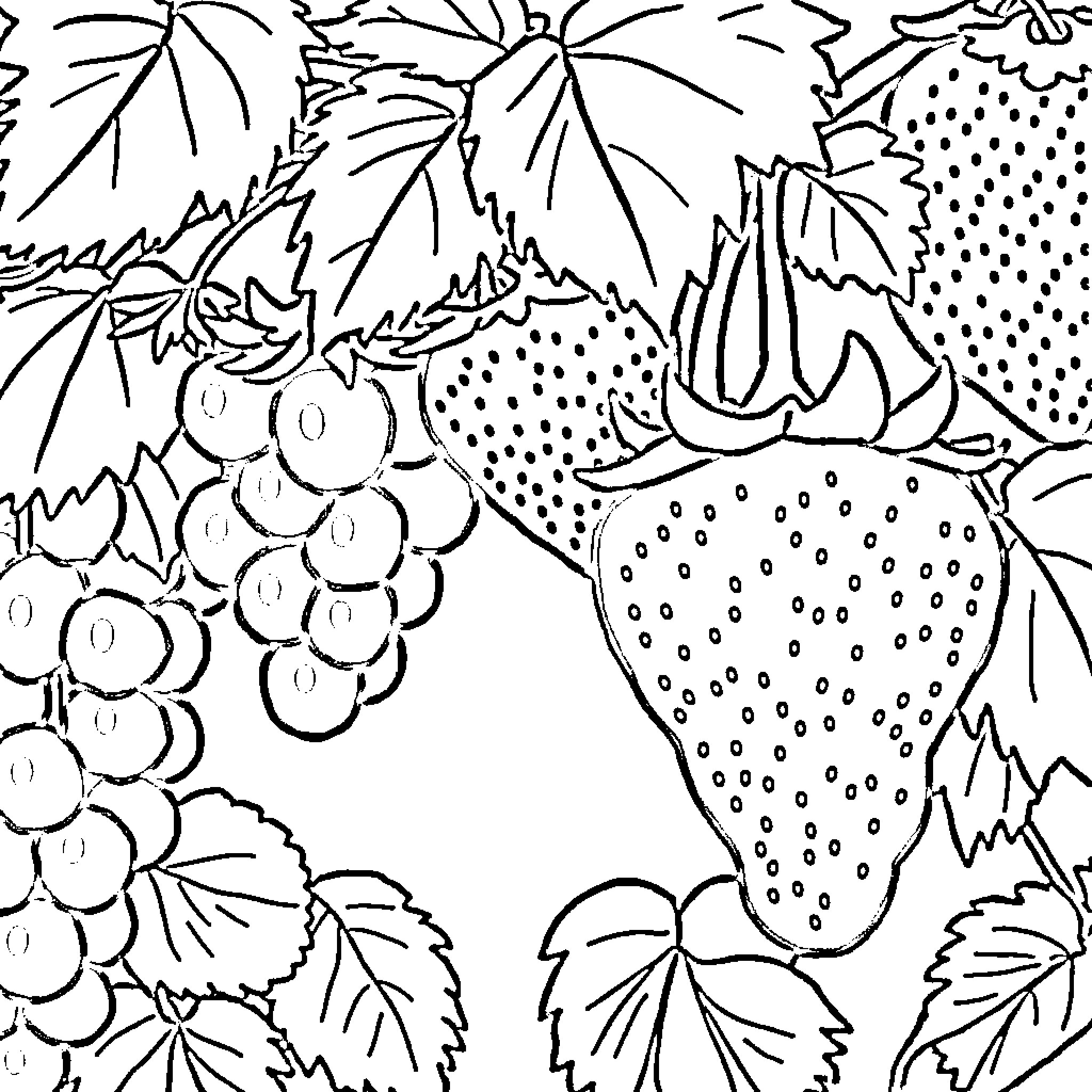 Fruit and foliage in vibrant pattern Coloring Page (free black-and-white line drawing printable PDF for all, from beginners to advanced learners, including children, teens, adults, and seniors)