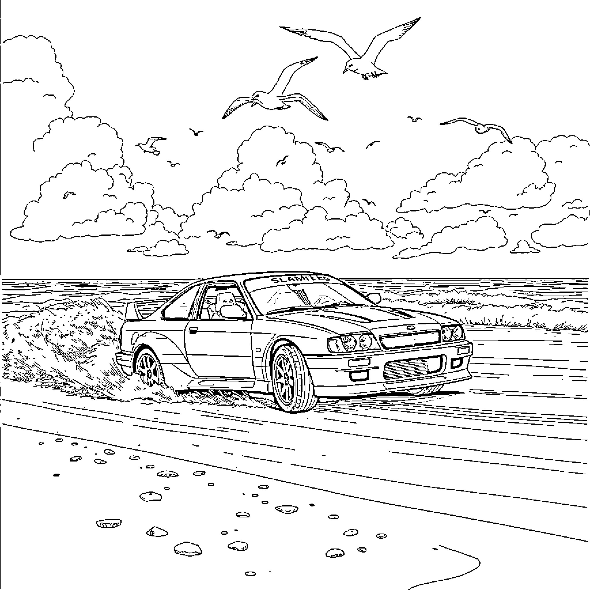 Car speeding through coastal landscape with birds Coloring Page (free black-and-white line drawing printable PDF for all, from beginners to advanced learners, including children, teens, adults, and seniors)