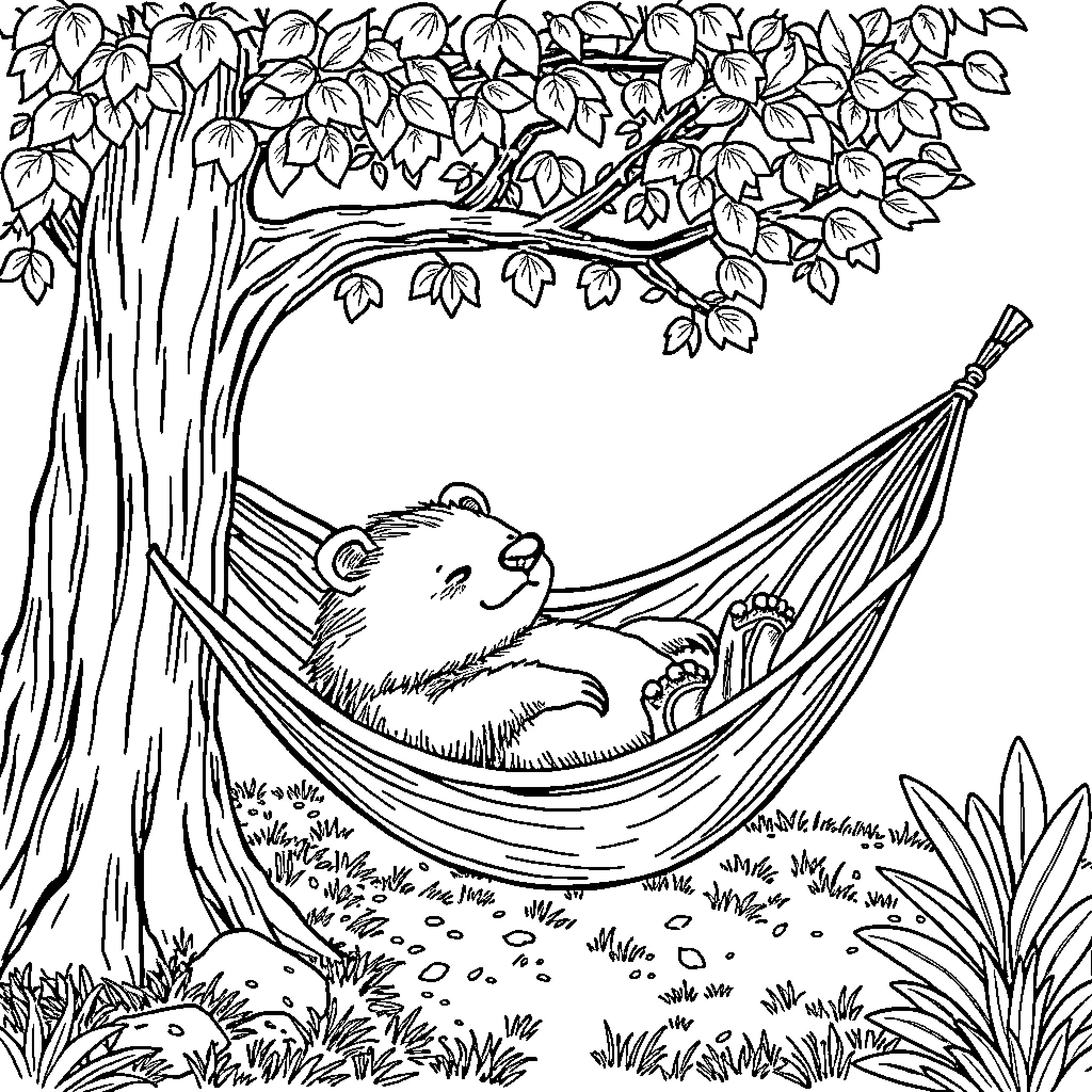 Wombat relaxing peacefully in a hammock under the trees Coloring Page (free black-and-white line drawing printable PDF for all, from beginners to advanced learners, including children, teens, adults, and seniors)