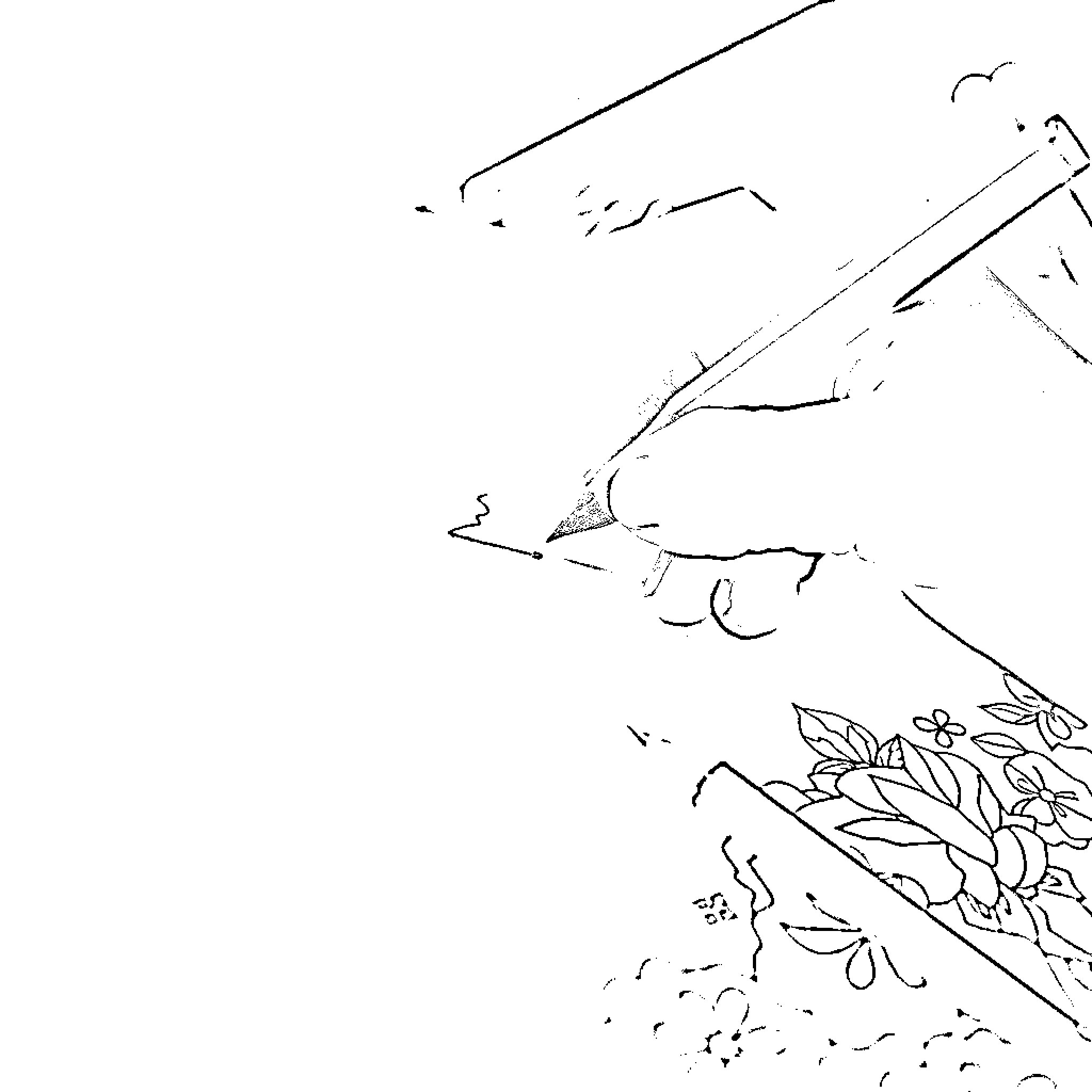 Tracing the Unfolding Floral Scene Coloring Page (free black-and-white line drawing printable PDF for all, from beginners to advanced learners, including children, teens, adults, and seniors)