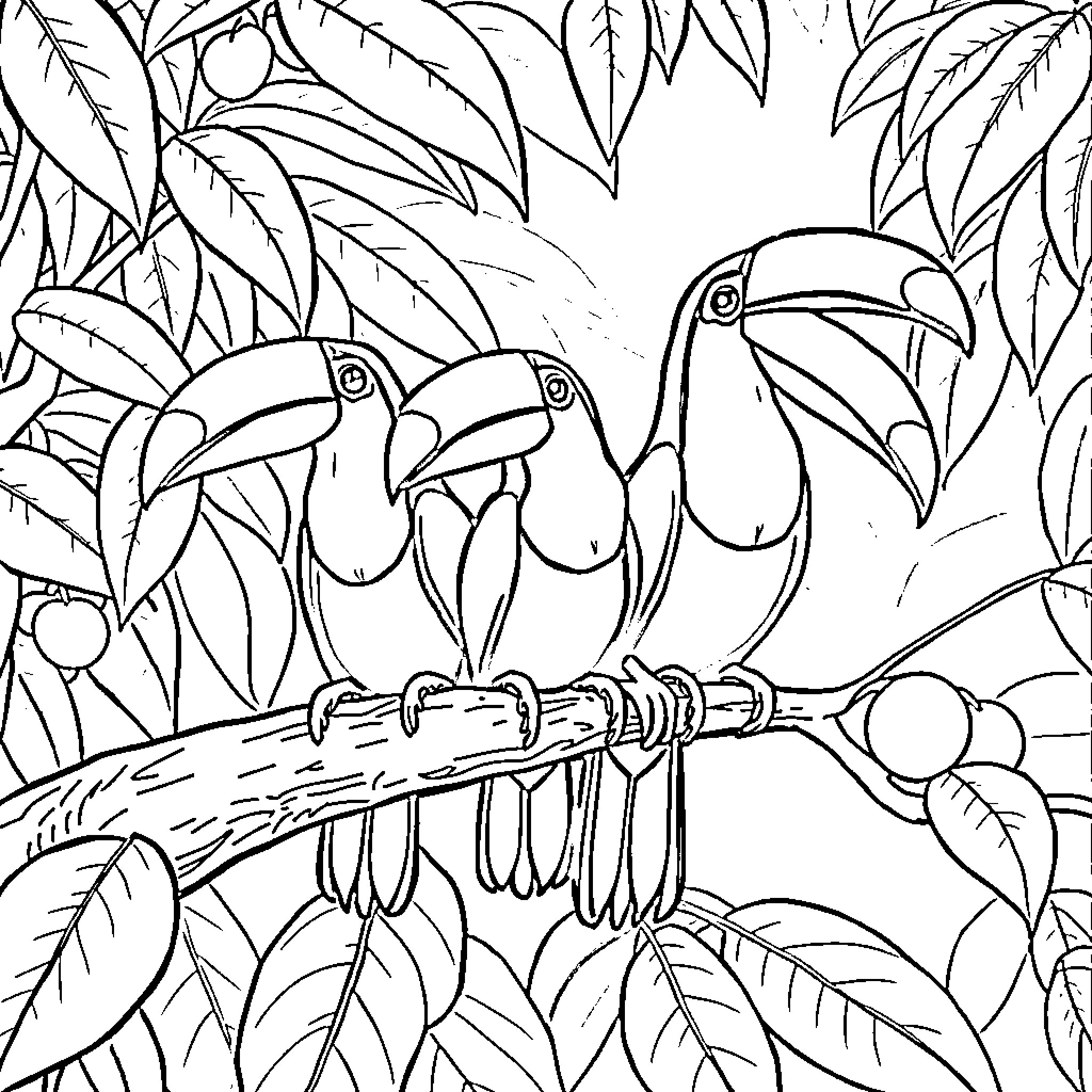 Toucan trio perched in tropical foliage Coloring Page (free black-and-white line drawing printable PDF for all, from beginners to advanced learners, including children, teens, adults, and seniors)