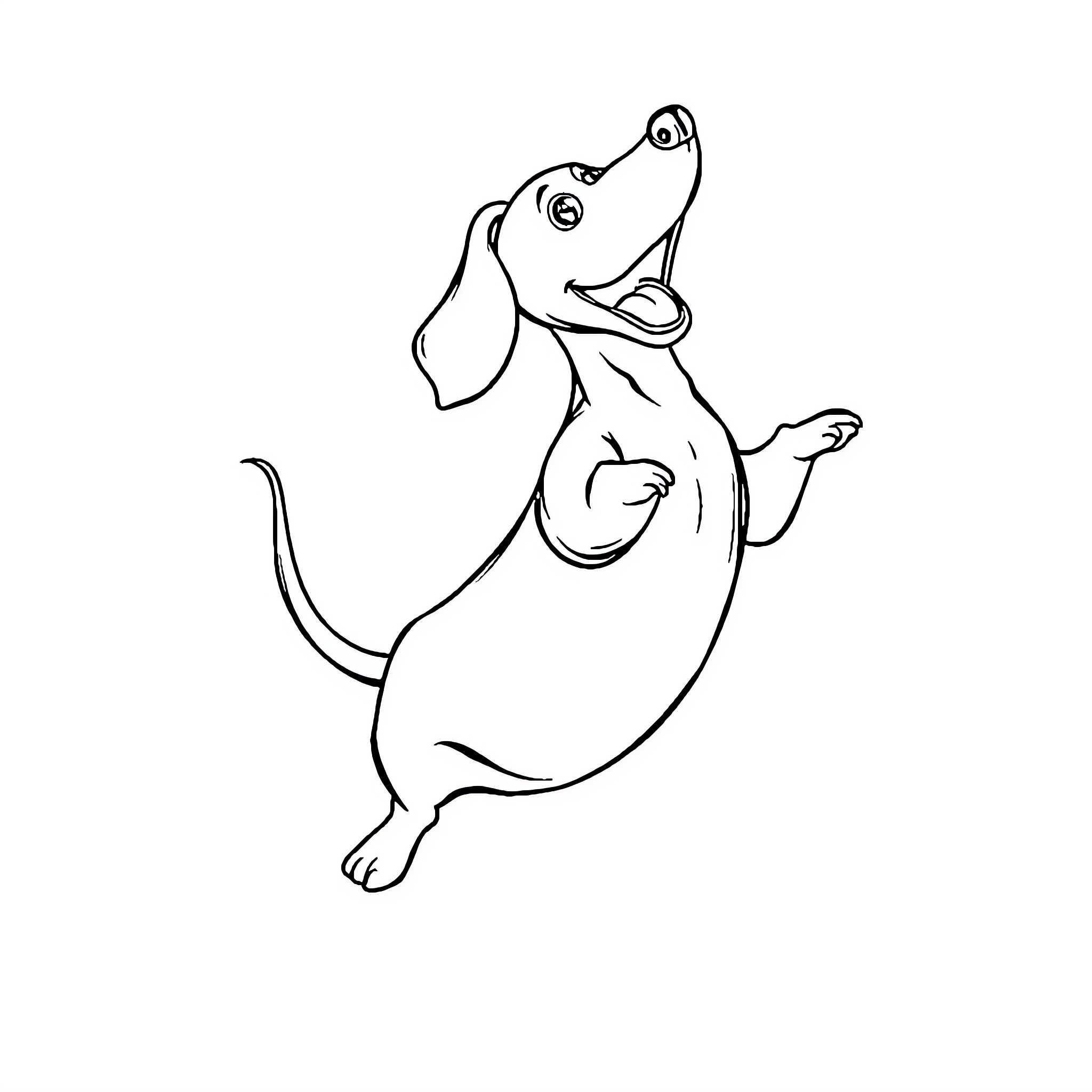 Dachshund in playful stance Coloring Page (free black-and-white line drawing printable PDF for all, from beginners to advanced learners, including children, teens, adults, and seniors)