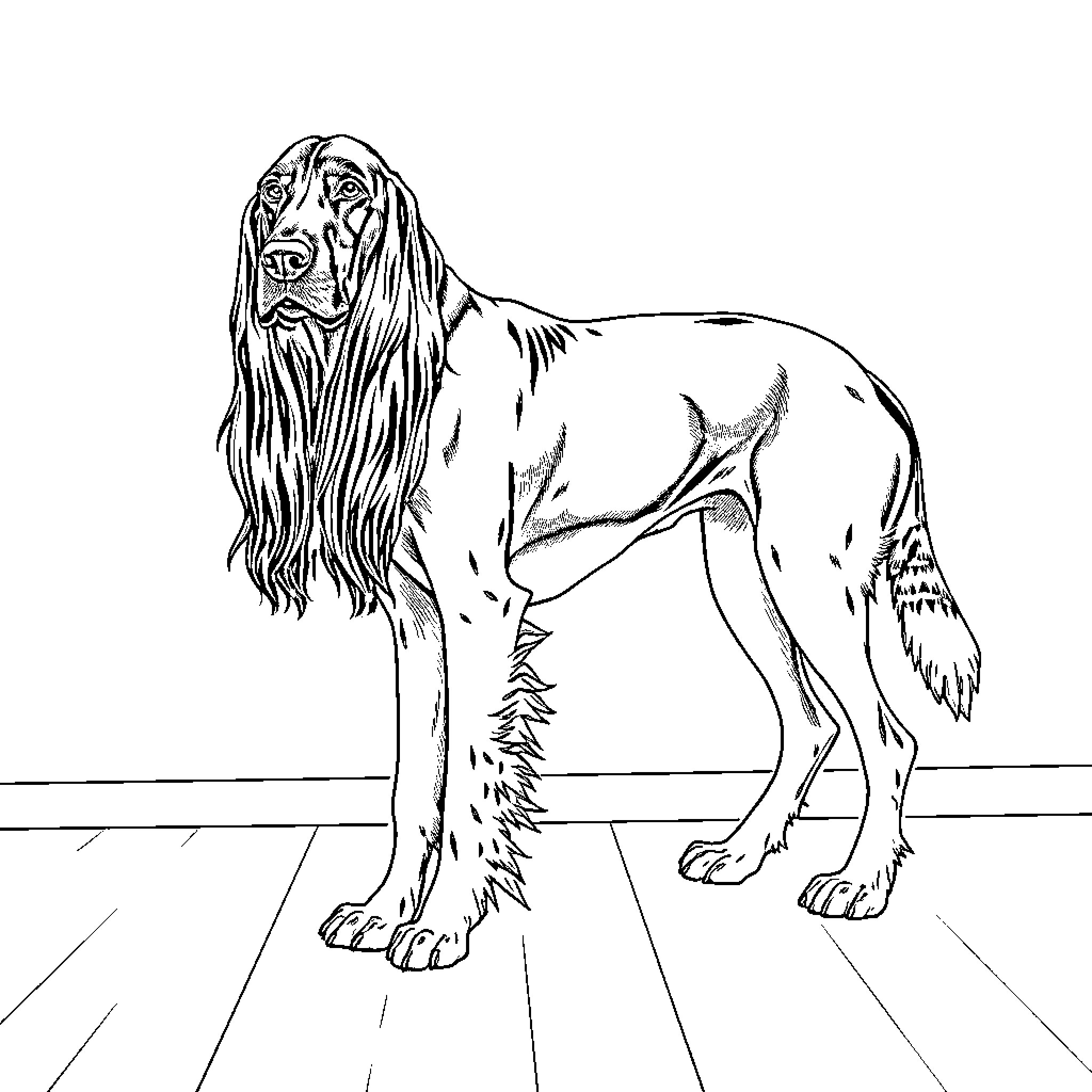 Afghan Hound standing tall and majestic Coloring Page (free black-and-white line drawing printable PDF for all, from beginners to advanced learners, including children, teens, adults, and seniors)