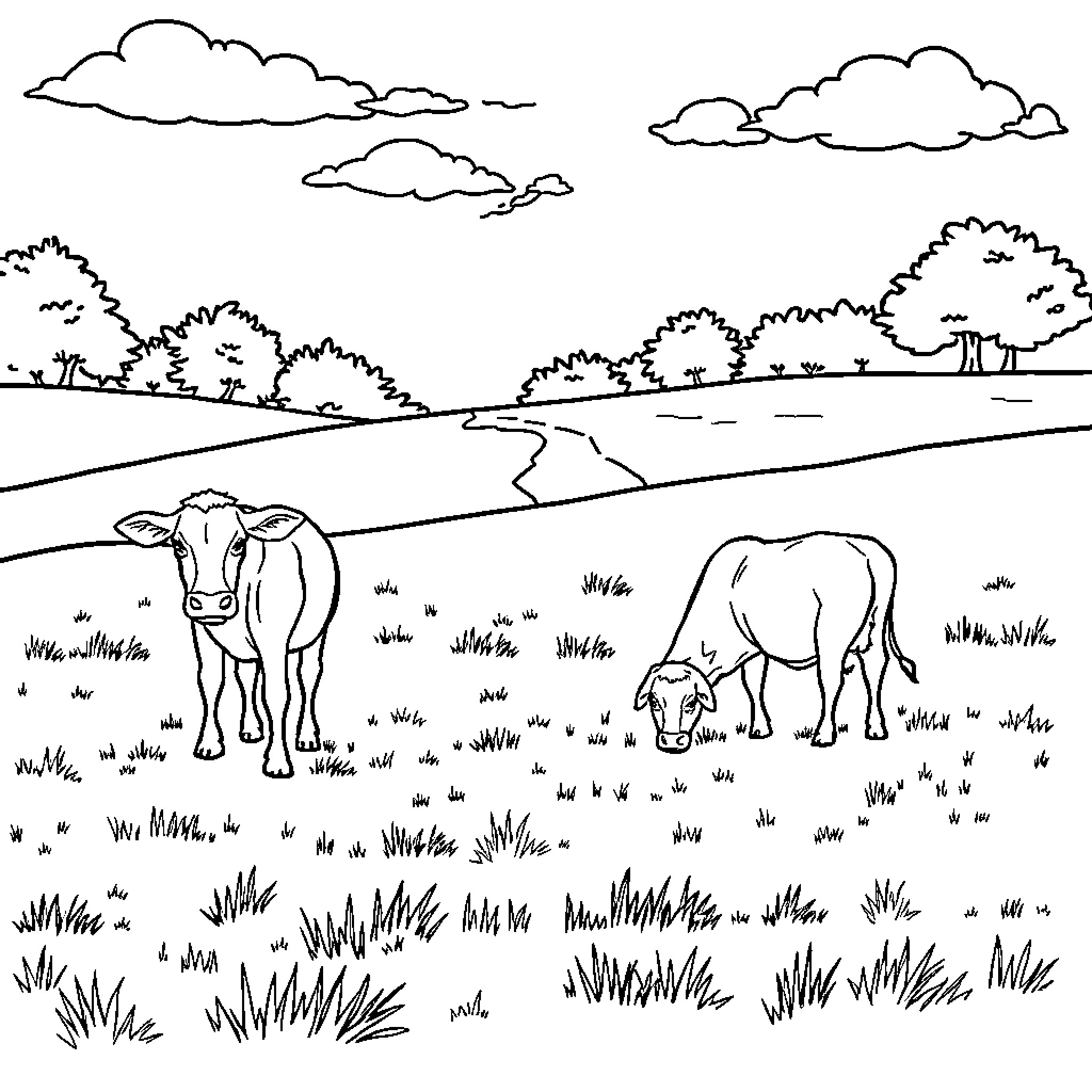 Cattle grazing peacefully in a pastoral landscape Coloring Page (free black-and-white line drawing printable PDF for all, from beginners to advanced learners, including children, teens, adults, and seniors)