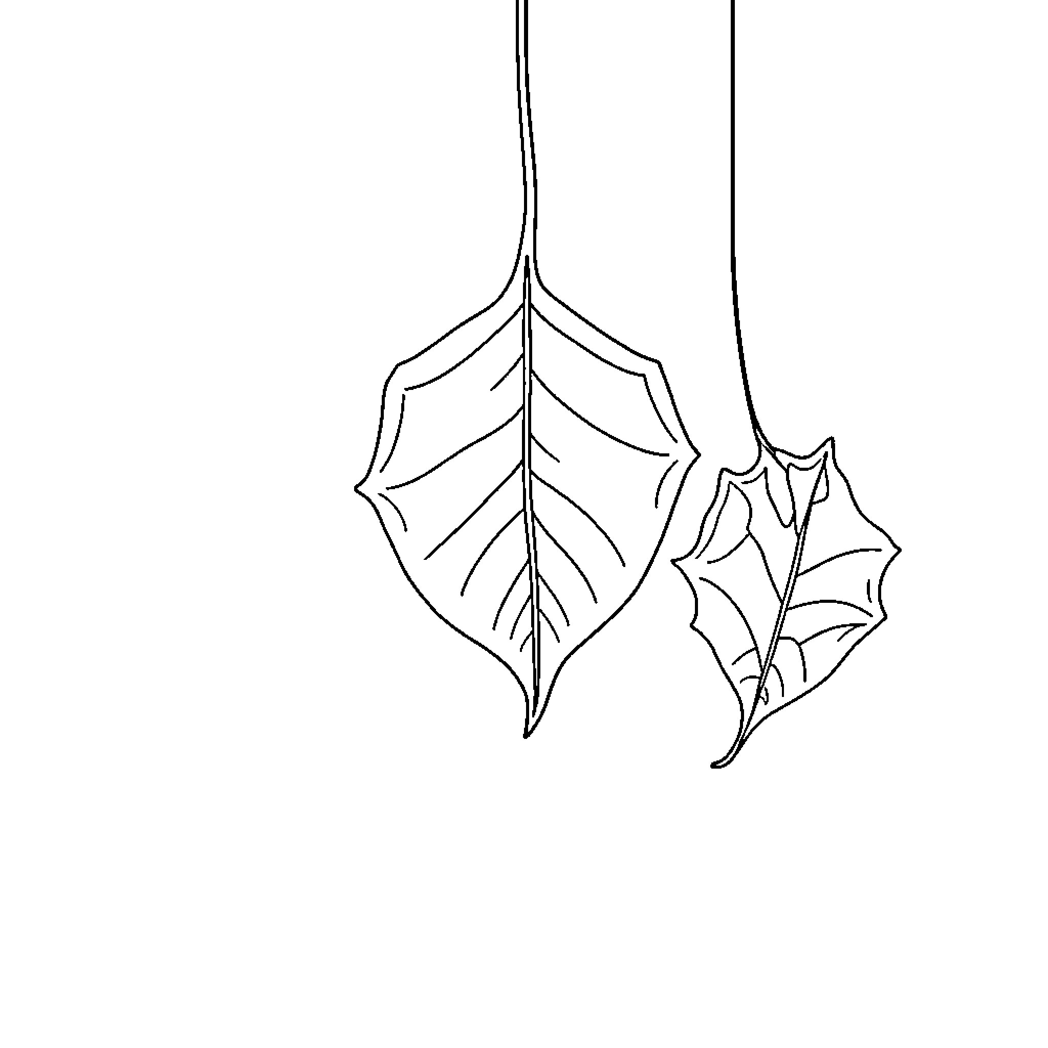 Leaf Silhouettes Swaying Gently Coloring Page (free black-and-white line drawing printable PDF for all, from beginners to advanced learners, including children, teens, adults, and seniors)