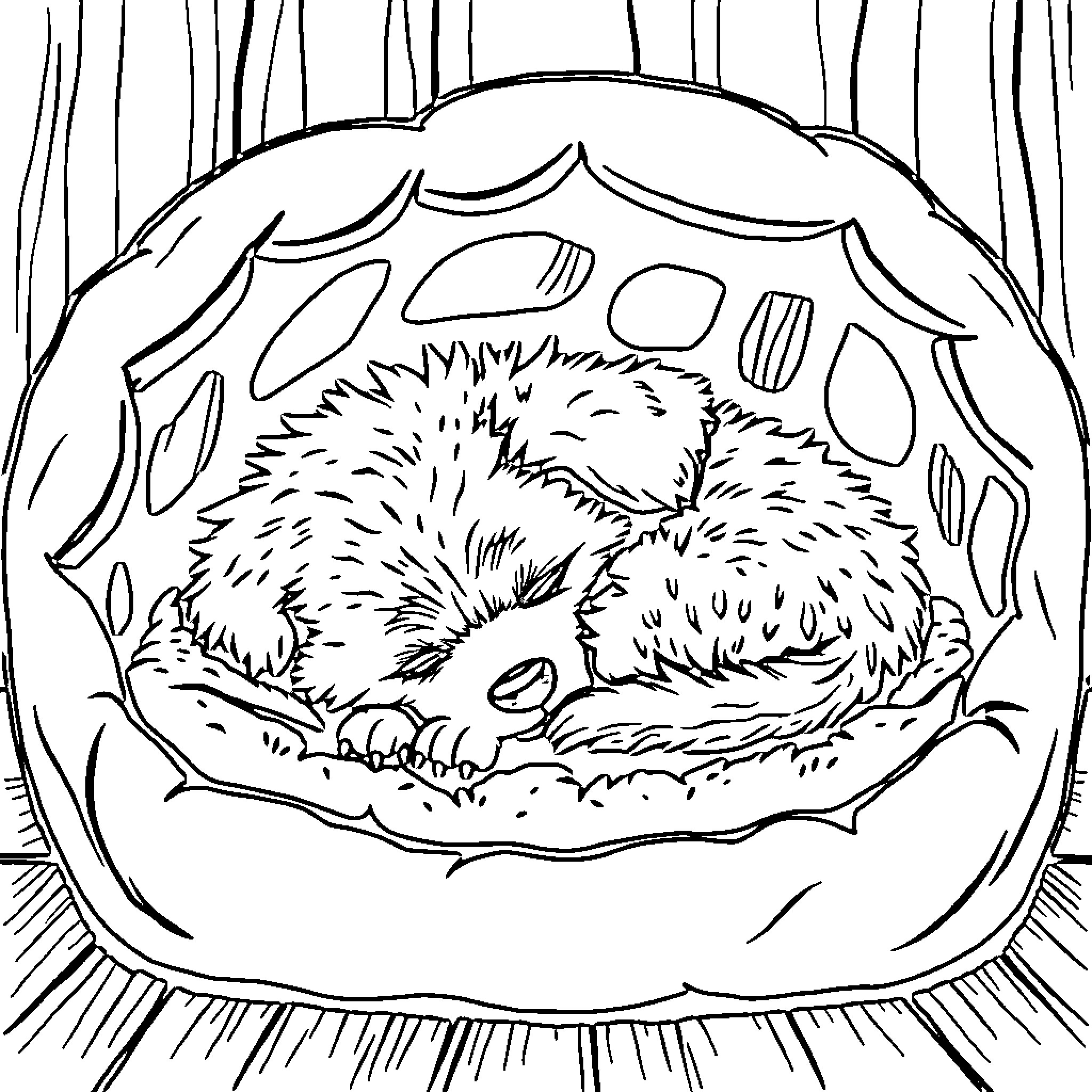 Puppy Sleeping Comfortably in Its Nest Coloring Page (free black-and-white line drawing printable PDF for all, from beginners to advanced learners, including children, teens, adults, and seniors)
