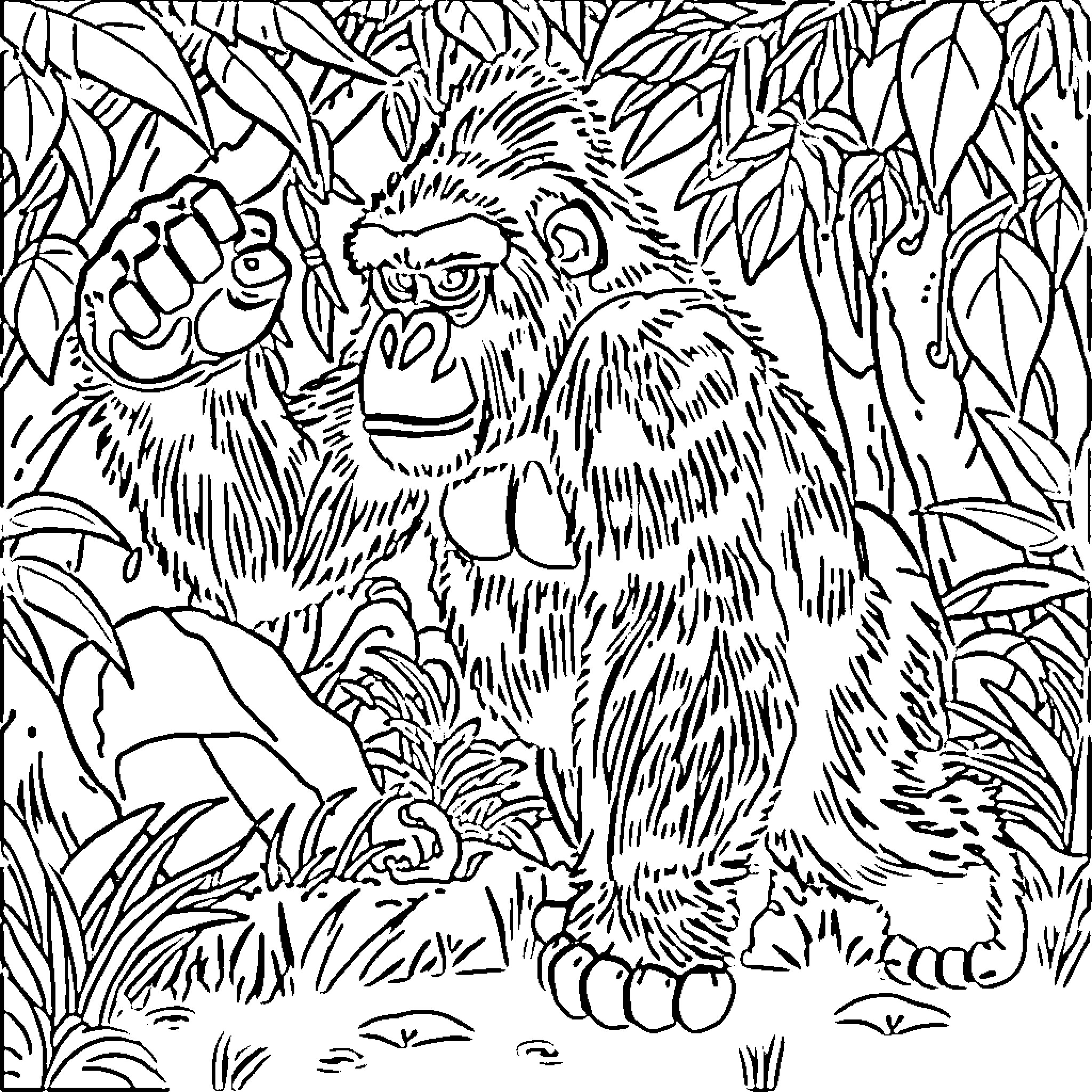 Gorilla exploring the lush jungle foliage Coloring Page (free black-and-white line drawing printable PDF for all, from beginners to advanced learners, including children, teens, adults, and seniors)