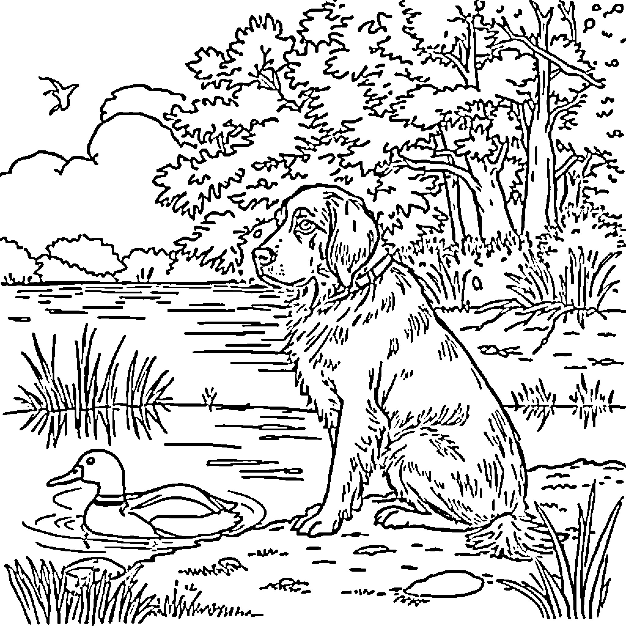 Dog enjoying nature by the lake Coloring Page (free black-and-white line drawing printable PDF for all, from beginners to advanced learners, including children, teens, adults, and seniors)