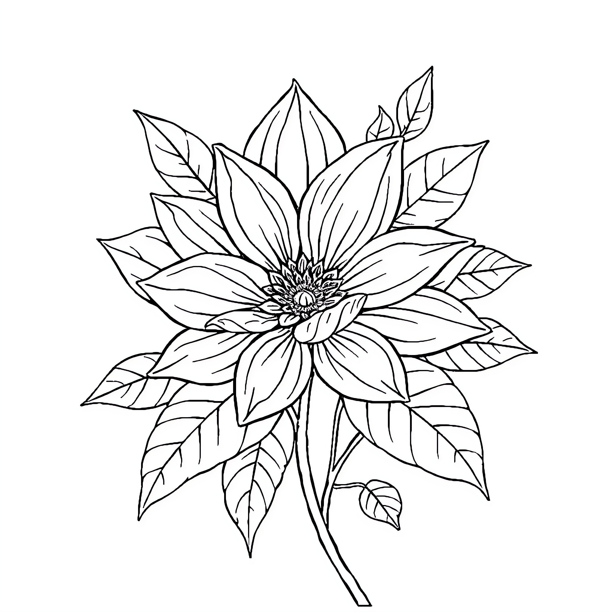 Flower Illustration with Detailed Petals and Leaves Coloring Page (free black-and-white line drawing printable PDF for all, from beginners to advanced learners, including children, teens, adults, and seniors)