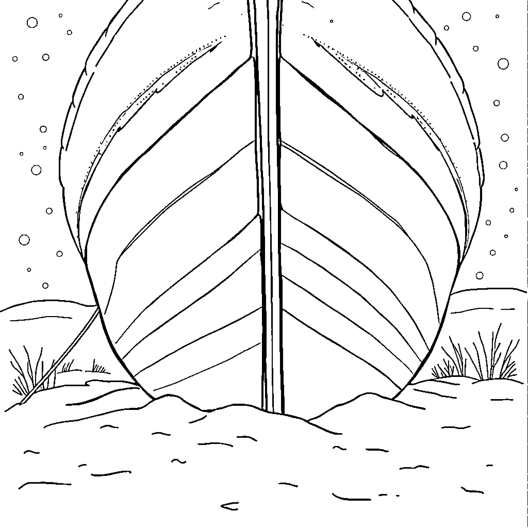 Hull of a Weathered Wooden Boat on the Shore Coloring Page (free black-and-white line drawing printable PDF for all, from beginners to advanced learners, including children, teens, adults, and seniors)