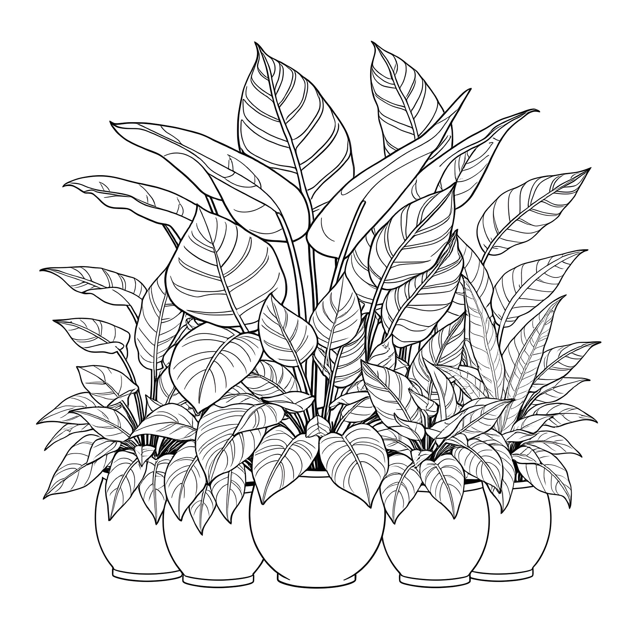 Monstera plants in pots Coloring Page (free black-and-white line drawing printable PDF for all, from beginners to advanced learners, including children, teens, adults, and seniors)