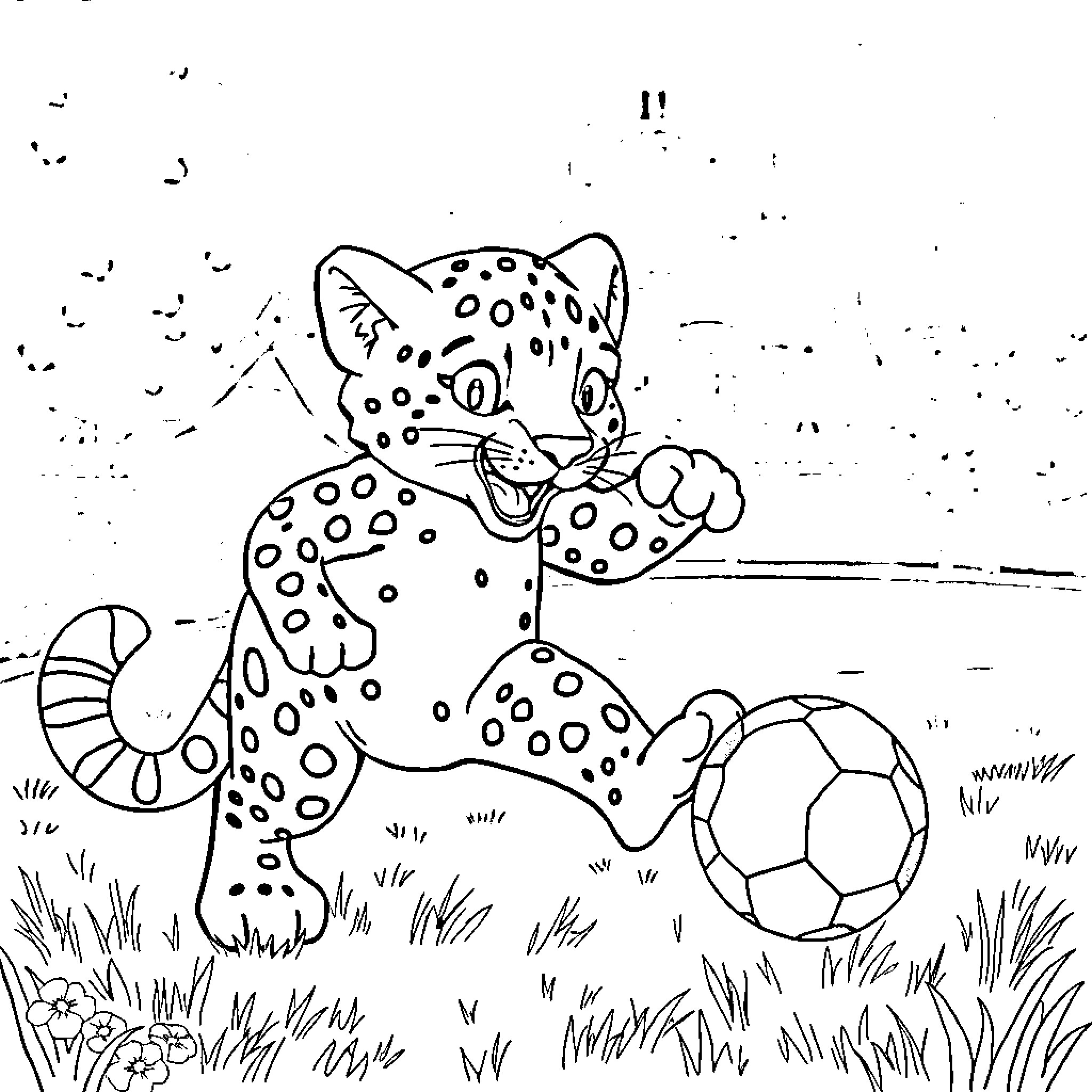 Snow Leopard playing with soccer ball in grass Coloring Page (free black-and-white line drawing printable PDF for all, from beginners to advanced learners, including children, teens, adults, and seniors)