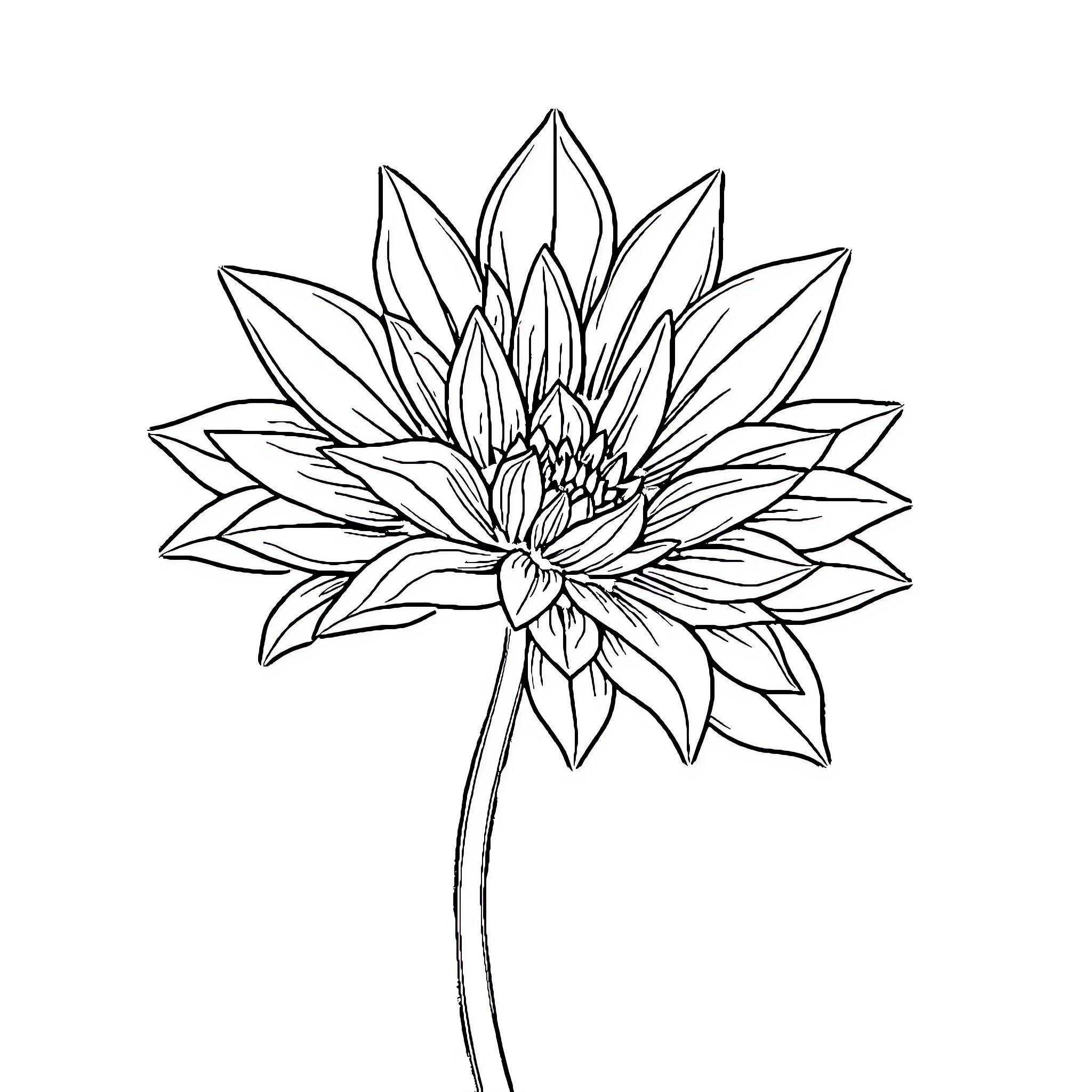 Simple Illustration of Floral Bloom Coloring Page (free black-and-white line drawing printable PDF for all, from beginners to advanced learners, including children, teens, adults, and seniors)