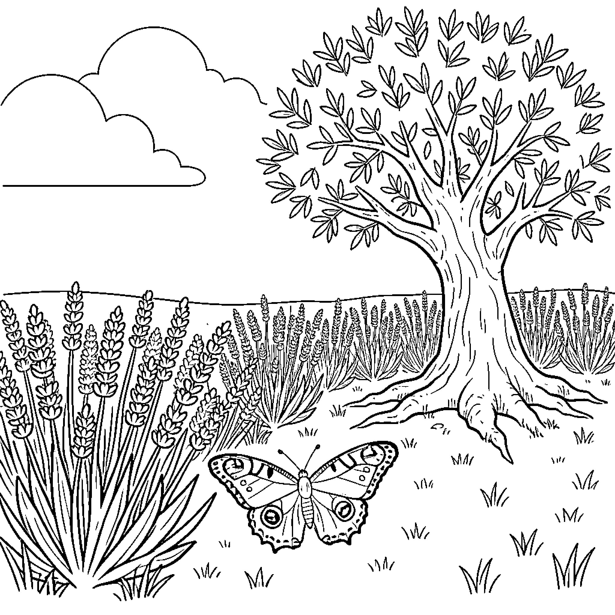 Lavender field with a tree and a butterfly Coloring Page (free black-and-white line drawing printable PDF for all, from beginners to advanced learners, including children, teens, adults, and seniors)