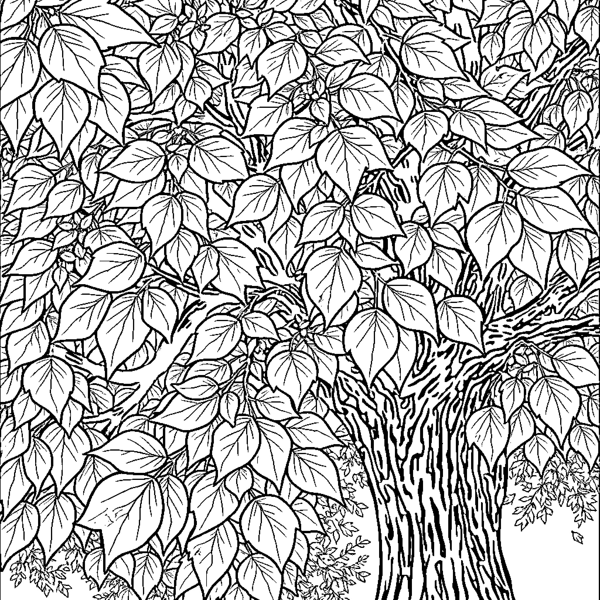 Oak Leaf Pattern with Intricate Foliage Design Coloring Page (free black-and-white line drawing printable PDF for all, from beginners to advanced learners, including children, teens, adults, and seniors)