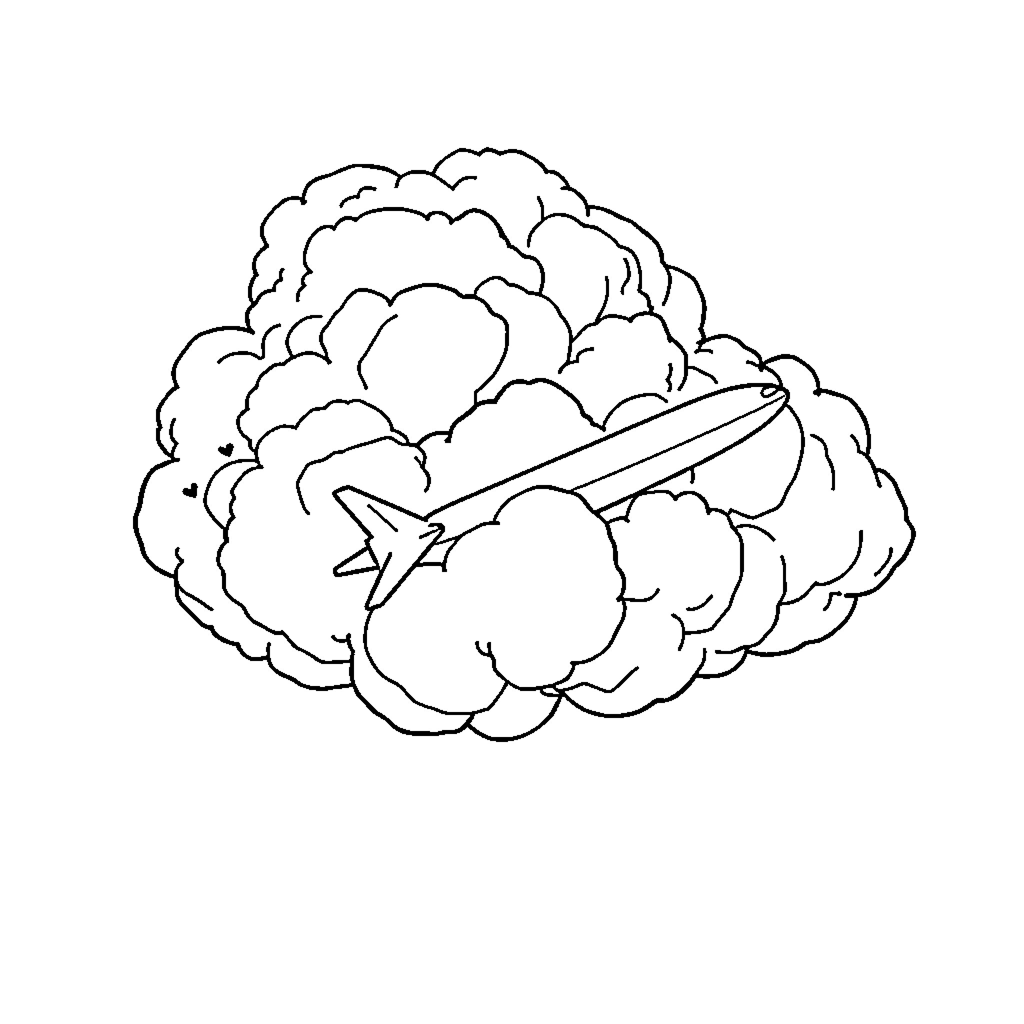Cloud with plane soaring through the skies Coloring Page (free black-and-white line drawing printable PDF for all, from beginners to advanced learners, including children, teens, adults, and seniors)