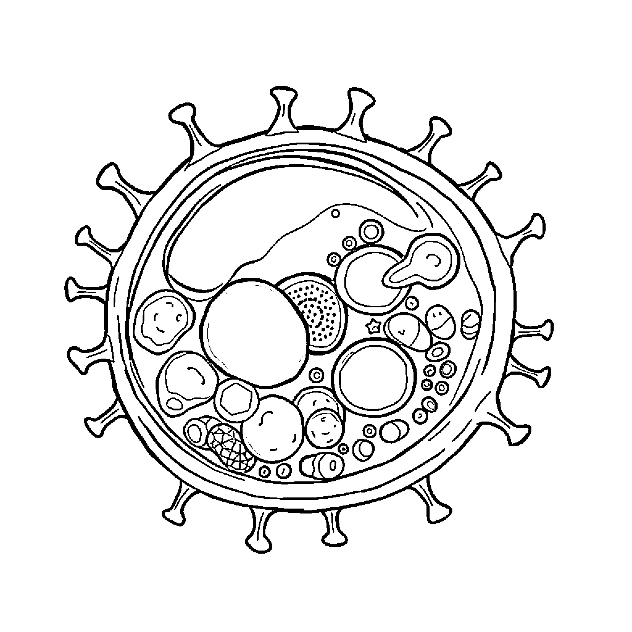 Bacteria inside a microscopic view Coloring Page (free black-and-white line drawing printable PDF for all, from beginners to advanced learners, including children, teens, adults, and seniors)