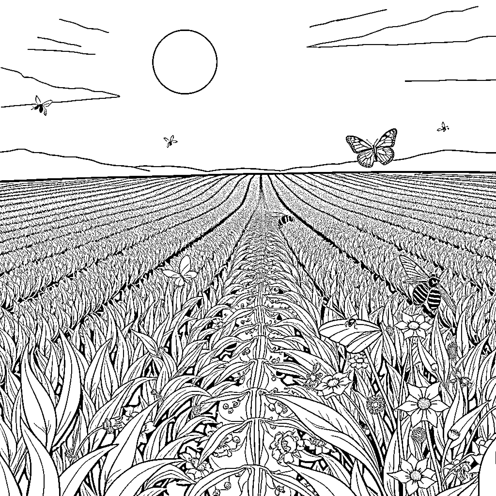 Insect-filled farmland landscape with butterflies Coloring Page (free black-and-white line drawing printable PDF for all, from beginners to advanced learners, including children, teens, adults, and seniors)