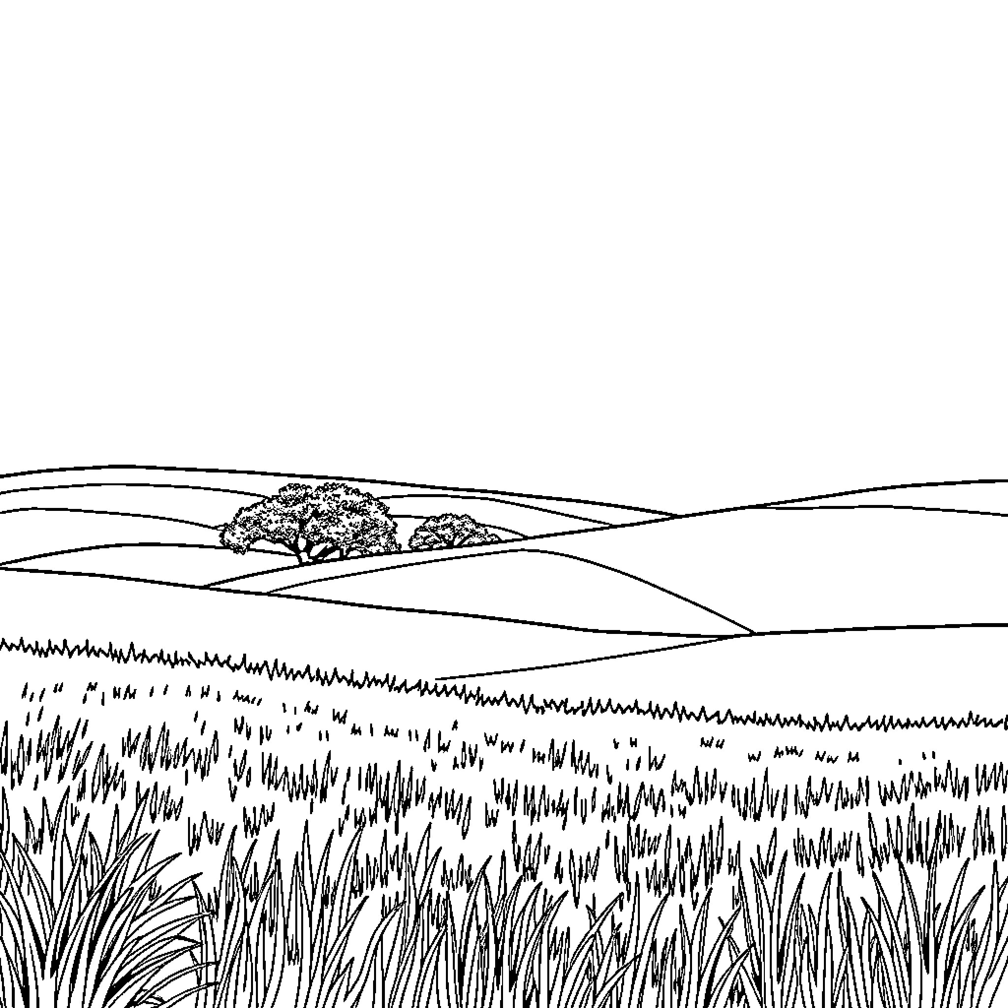 Landscape with rolling hills and a lone tree Coloring Page (free black-and-white line drawing printable PDF for all, from beginners to advanced learners, including children, teens, adults, and seniors)