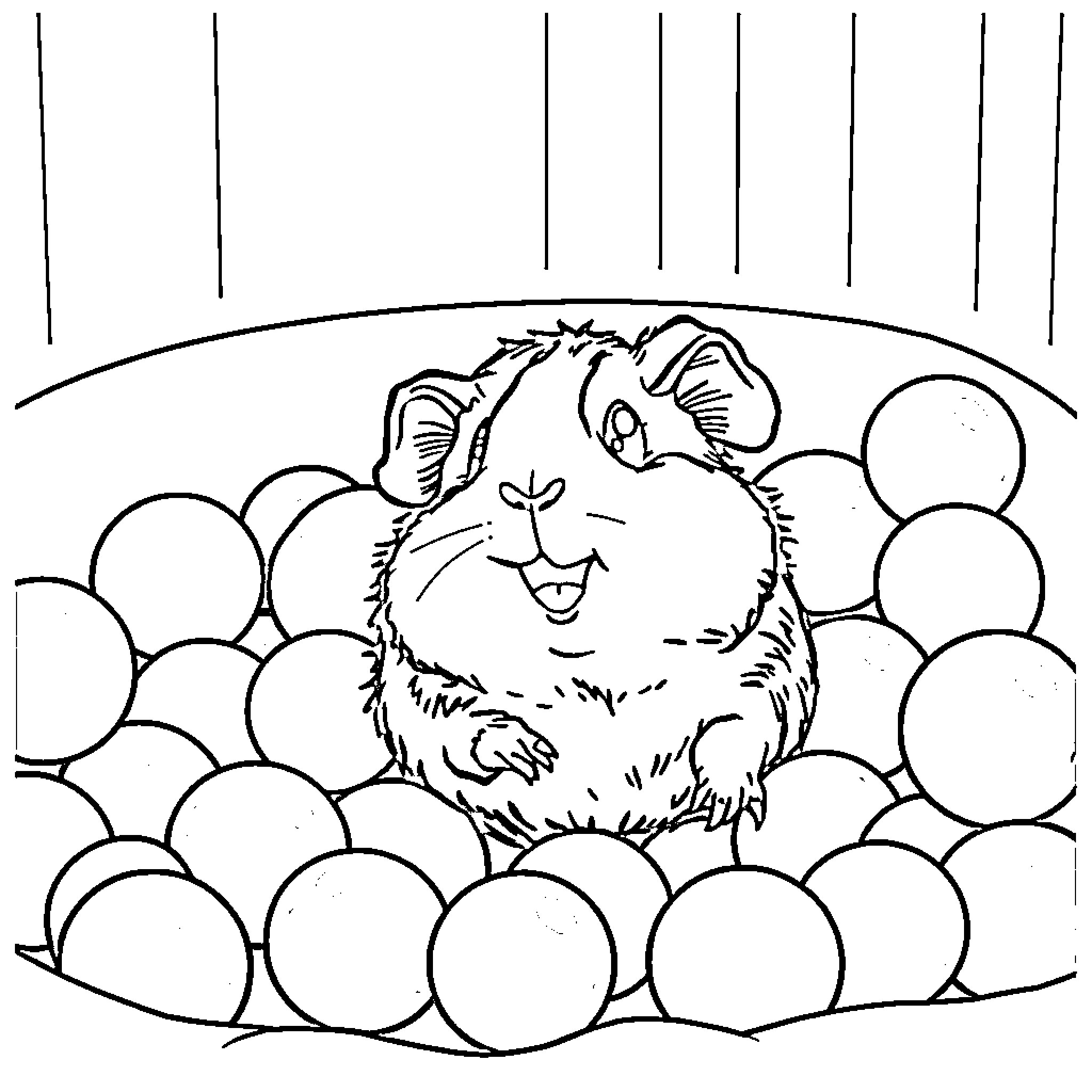 Guinea Pig Enjoying Playful Bubble Bath Coloring Page (free black-and-white line drawing printable PDF for all, from beginners to advanced learners, including children, teens, adults, and seniors)