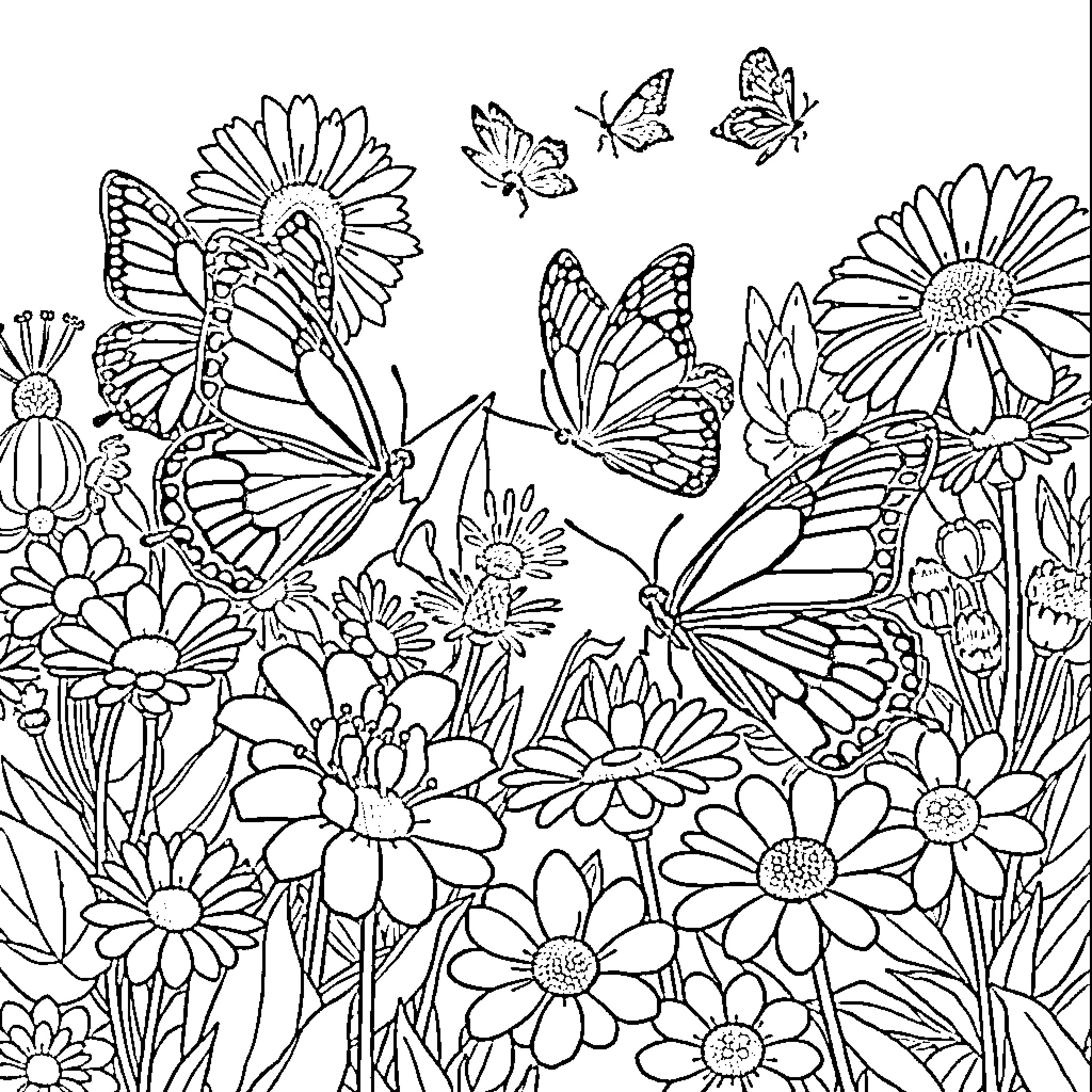 Butterfly Delight in a Floral Garden Coloring Page (free black-and-white line drawing printable PDF for all, from beginners to advanced learners, including children, teens, adults, and seniors)