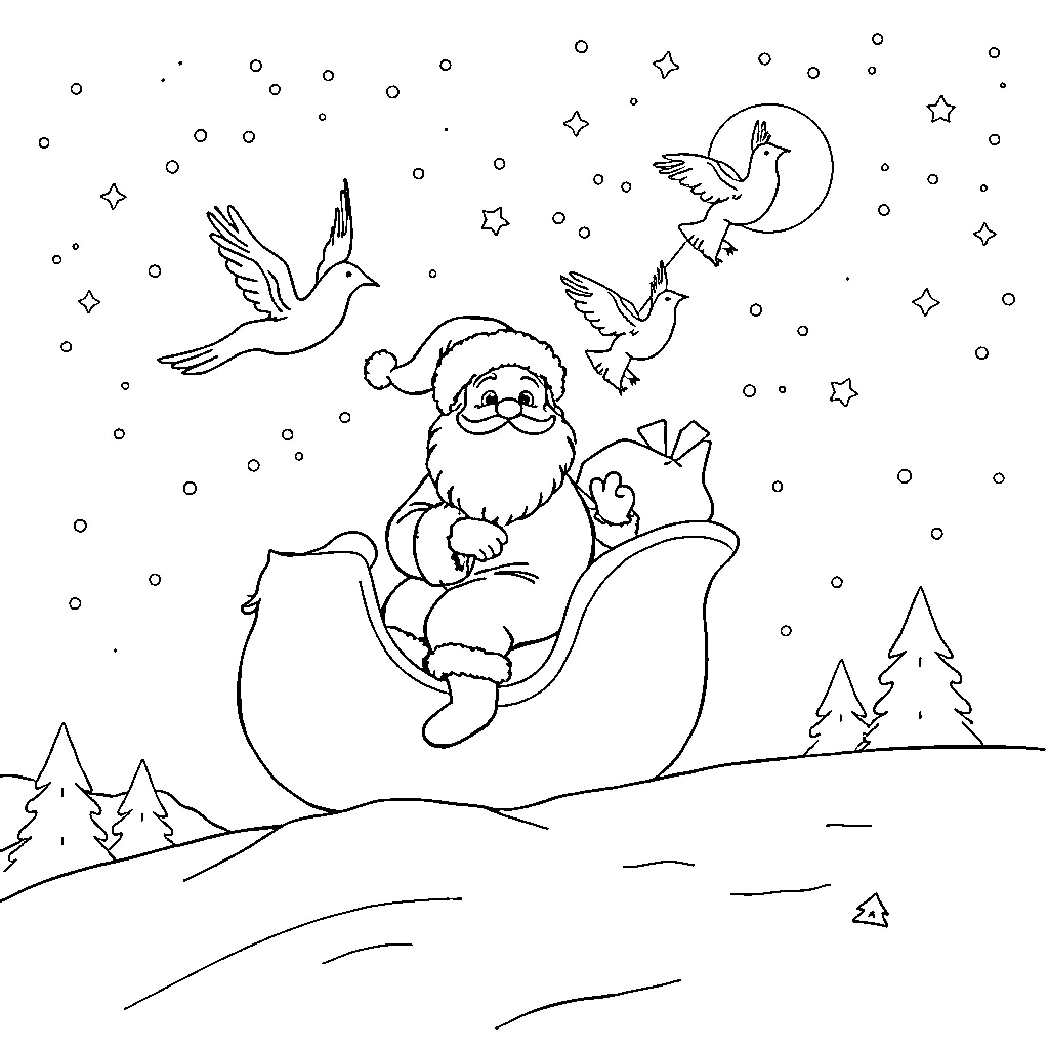 Babbo Natale enjoying a starry night with birds Coloring Page (free black-and-white line drawing printable PDF for all, from beginners to advanced learners, including children, teens, adults, and seniors)