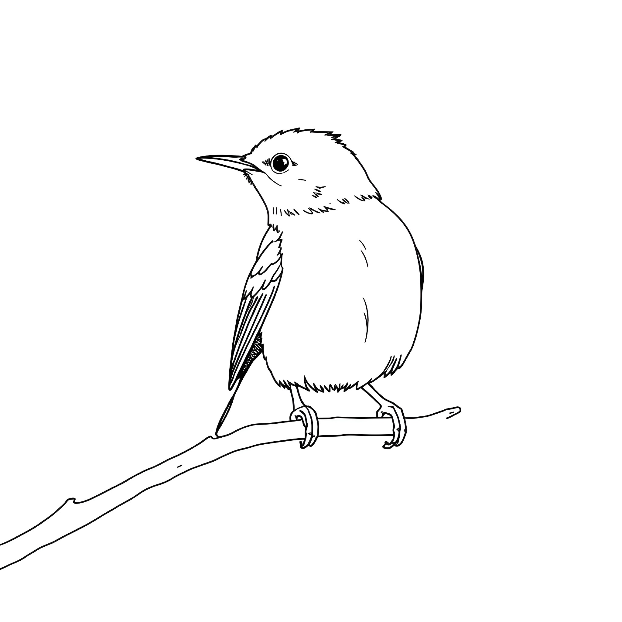 Honeycreeper perched on a branch Coloring Page (free black-and-white line drawing printable PDF for all, from beginners to advanced learners, including children, teens, adults, and seniors)