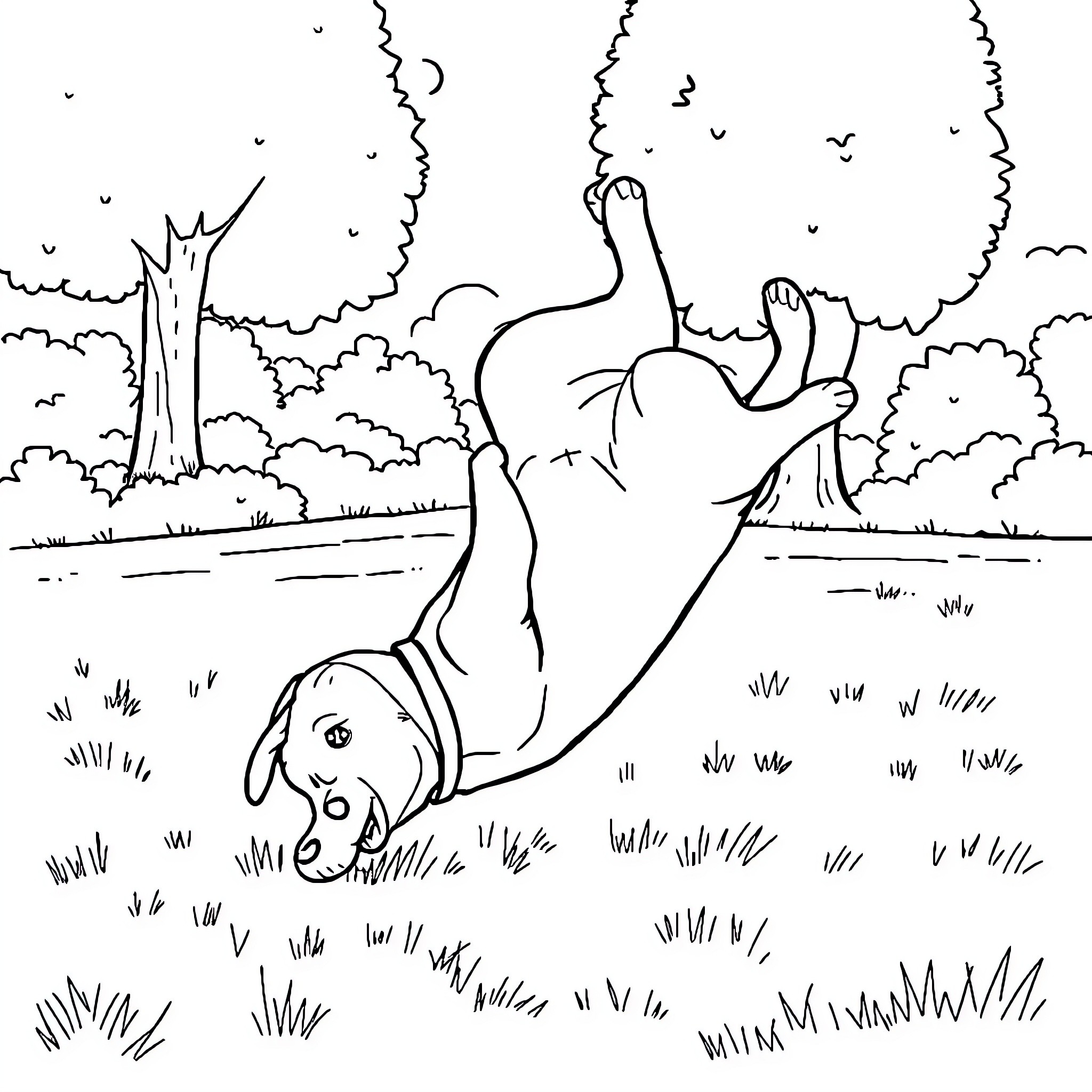 Dog chasing butterflies in the meadow Coloring Page (free black-and-white line drawing printable PDF for all, from beginners to advanced learners, including children, teens, adults, and seniors)