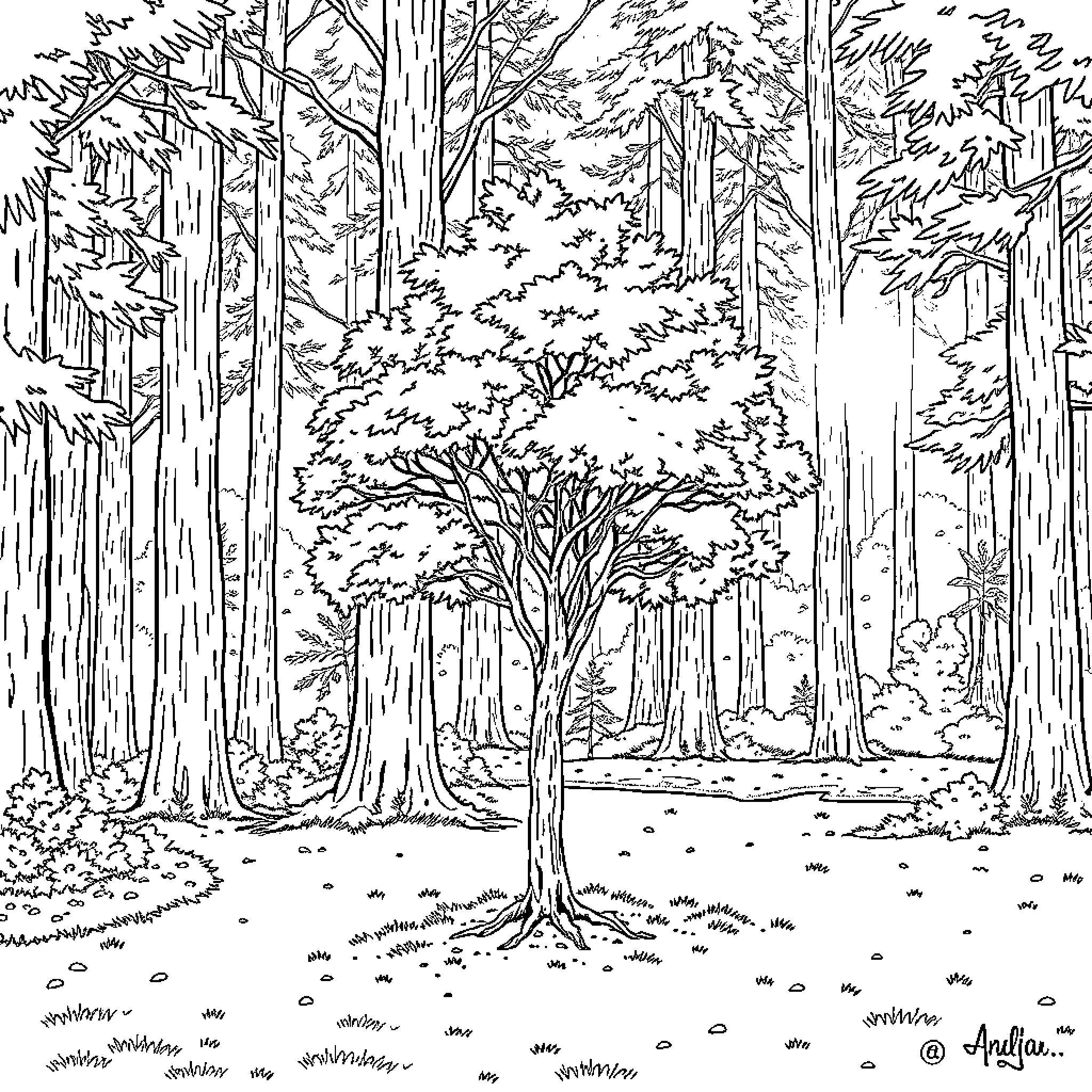 Oak Tree in Serene Forest Landscape Coloring Page (free black-and-white line drawing printable PDF for all, from beginners to advanced learners, including children, teens, adults, and seniors)