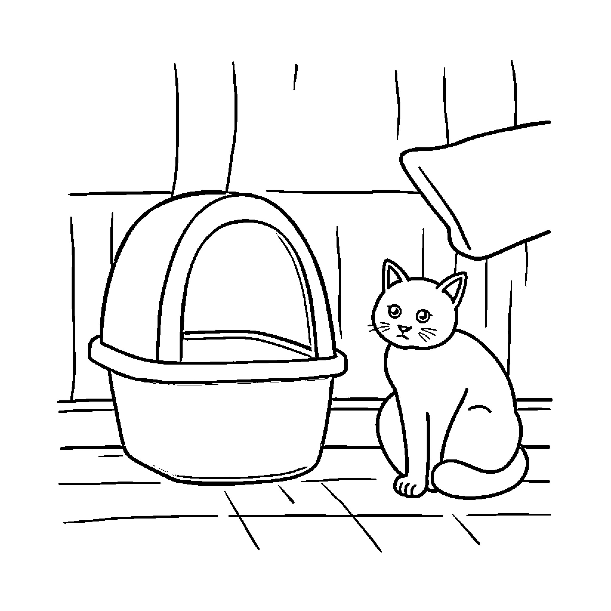 Cat by the litter box Coloring Page (free black-and-white line drawing printable PDF for all, from beginners to advanced learners, including children, teens, adults, and seniors)